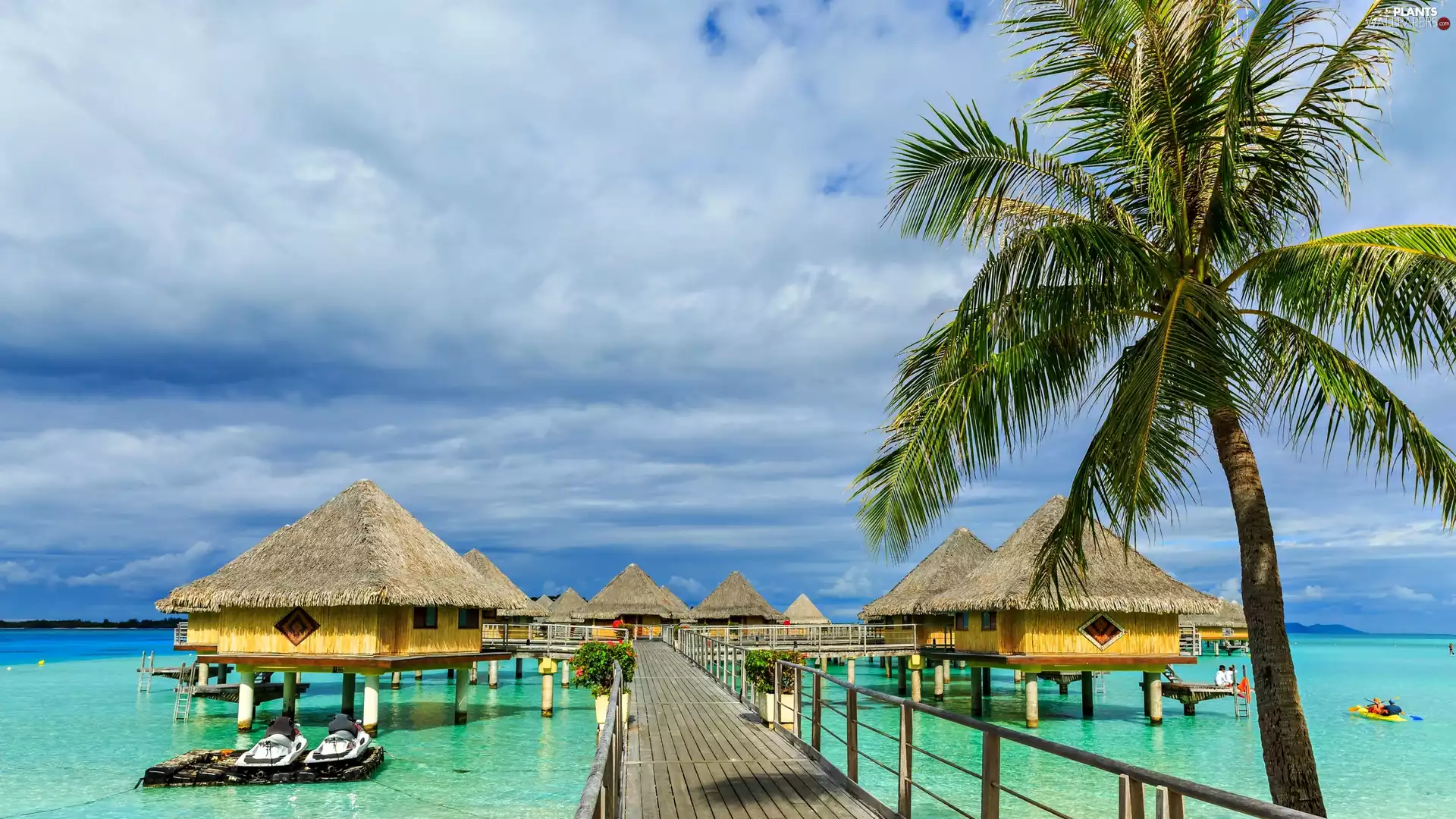 Bora Bora, French Polynesia, Ocean, Houses, Tropical, holiday, boats, Palm, bridge