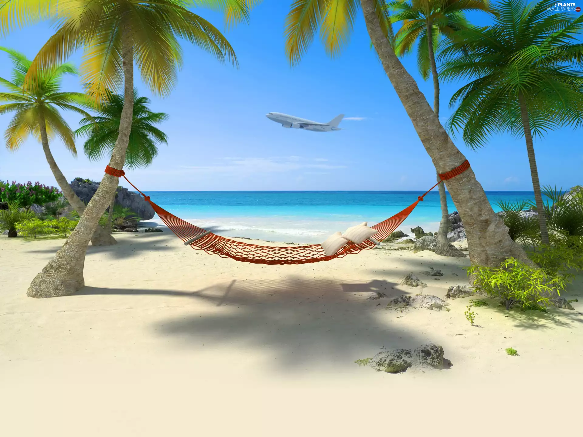 Hammock, Beaches, plane, Tropical, sea, Palms