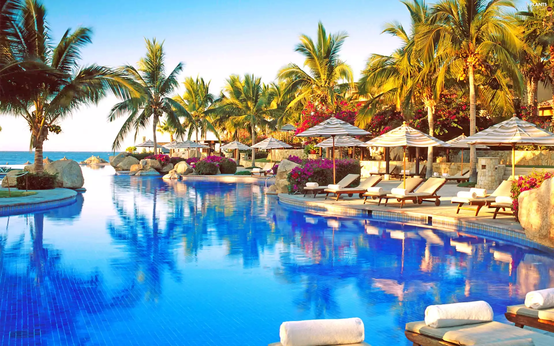 deck chair, Pool, Tropical, holiday, Palms, Sunshade