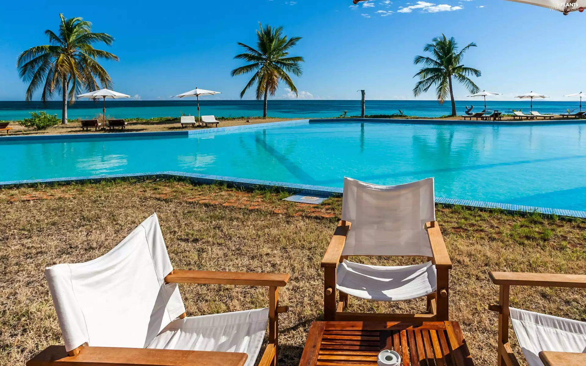 Sunshade, Pool, sea, Tropical, deck chair, Palms