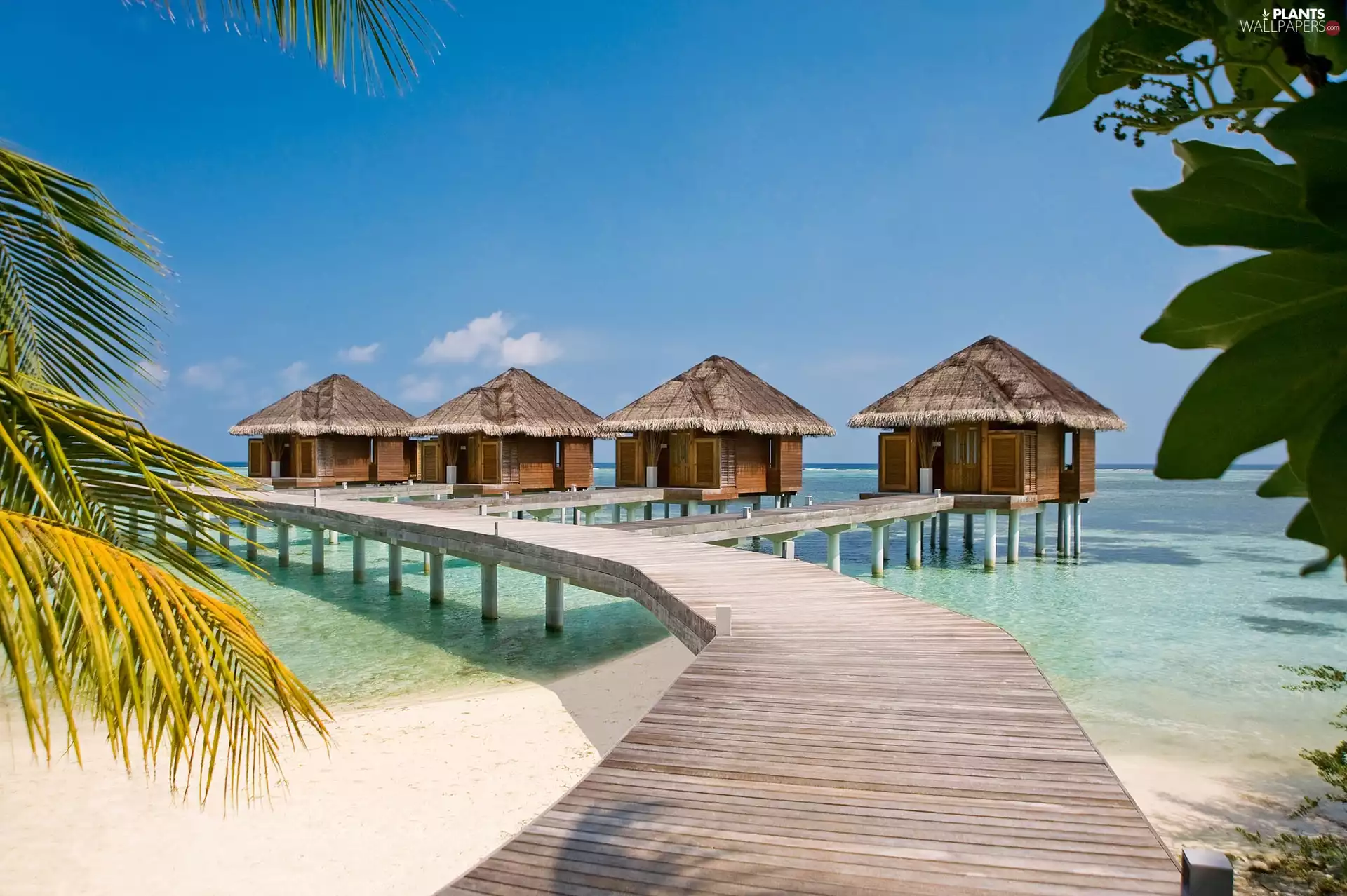 sea, on Stilts, viewes, Platform, Houses, trees, Tropical