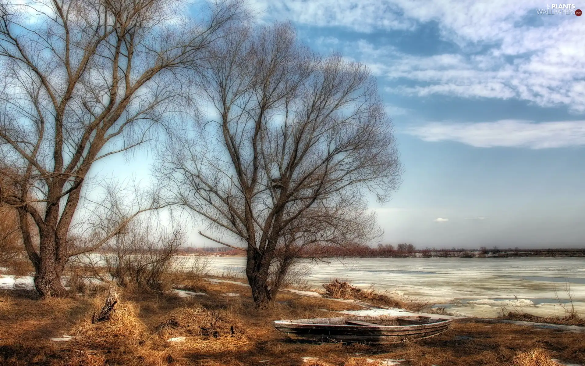 viewes, River, bath-tub, clouds, winter, trees