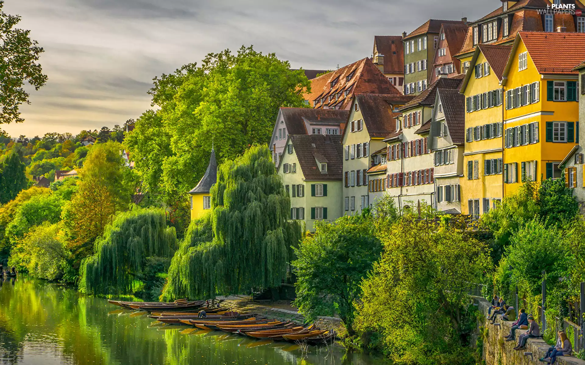 Tübingen, Houses, viewes, Neckar River, trees, Baden-Württemberg, Germany, boats
