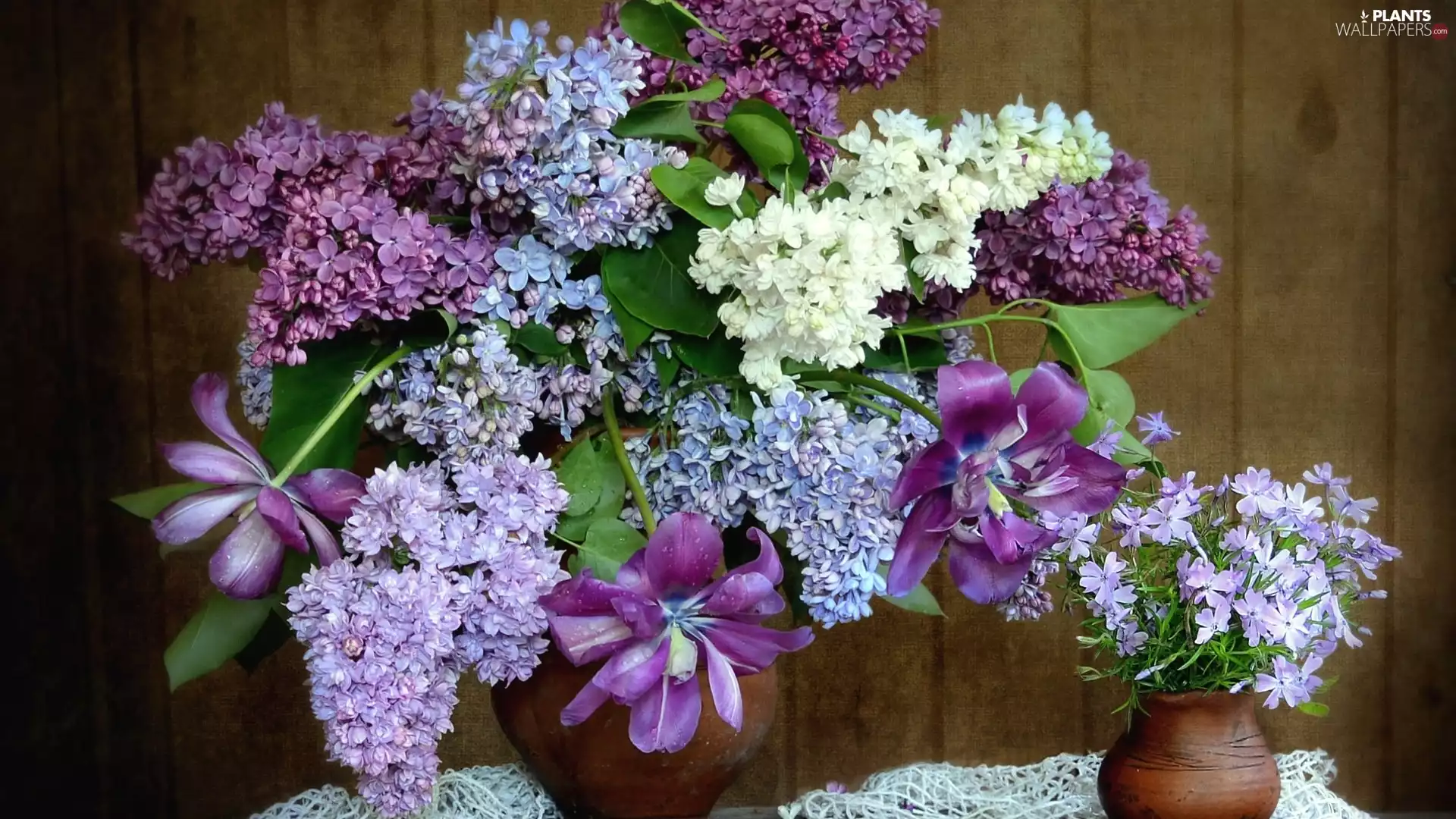 without, Tulips, bouquet, Vase, Flowers