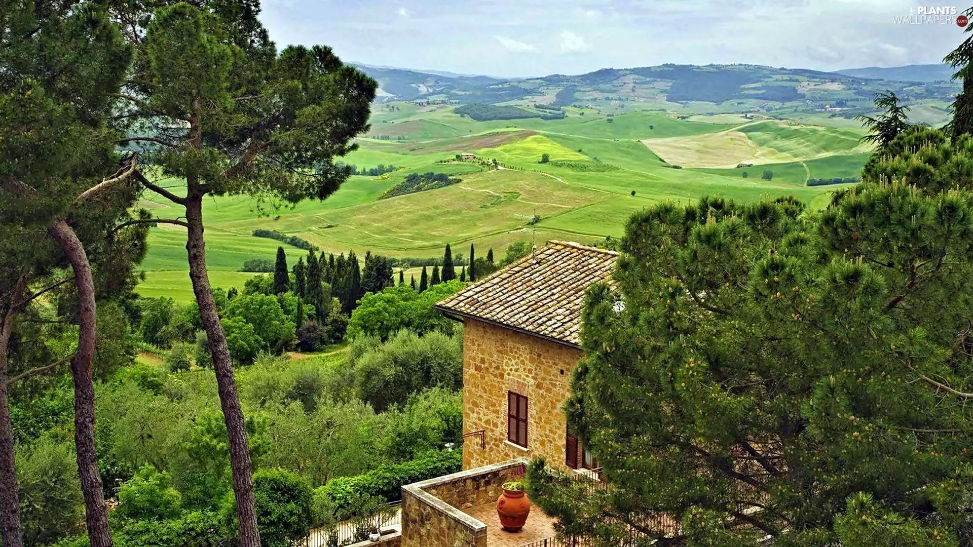 The Hills, Garden, medows, pine, house, field, Tuscany