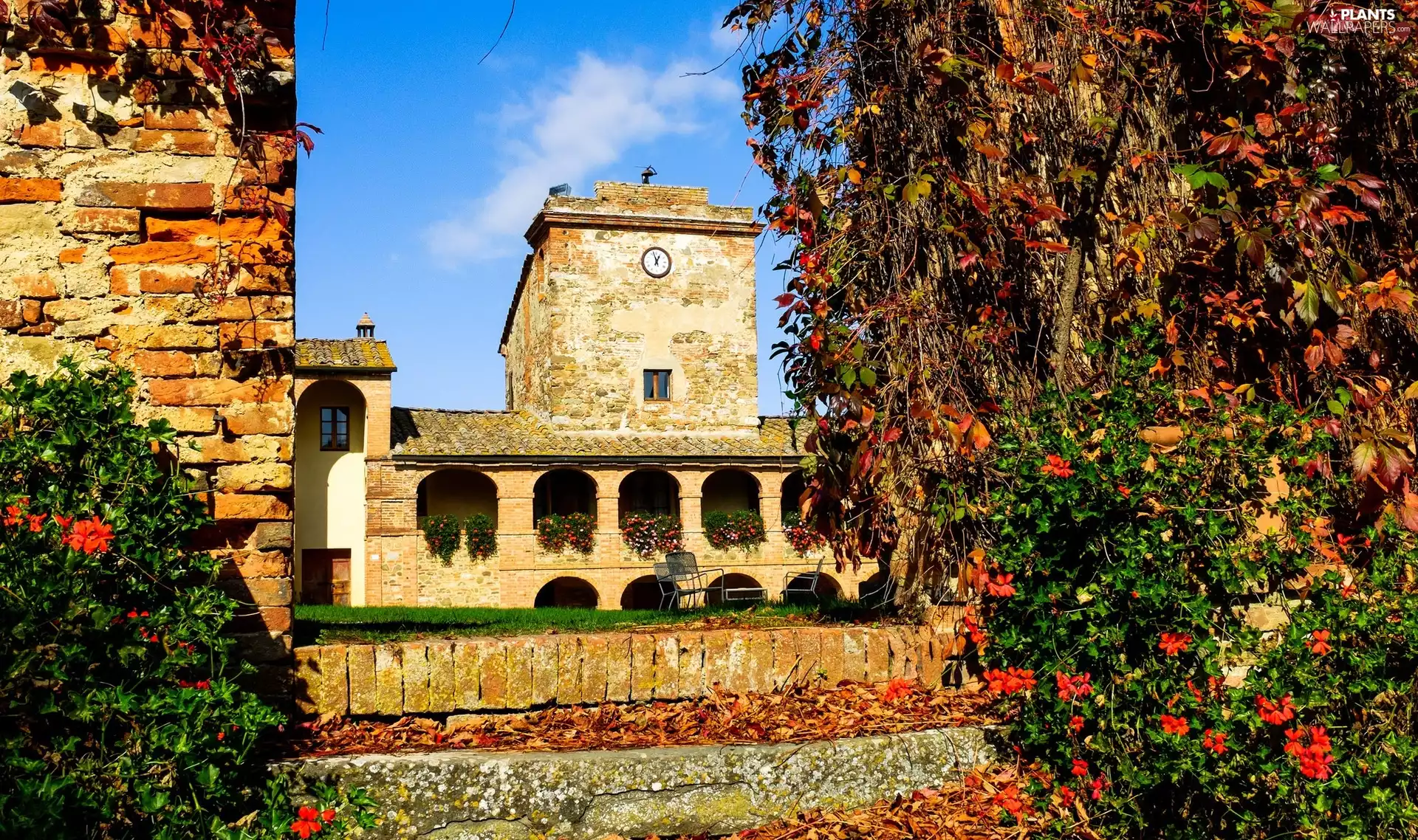 Sinalunga, Italy, trees, viewes, Hotel Locanda dellAmorosa, Tuscany