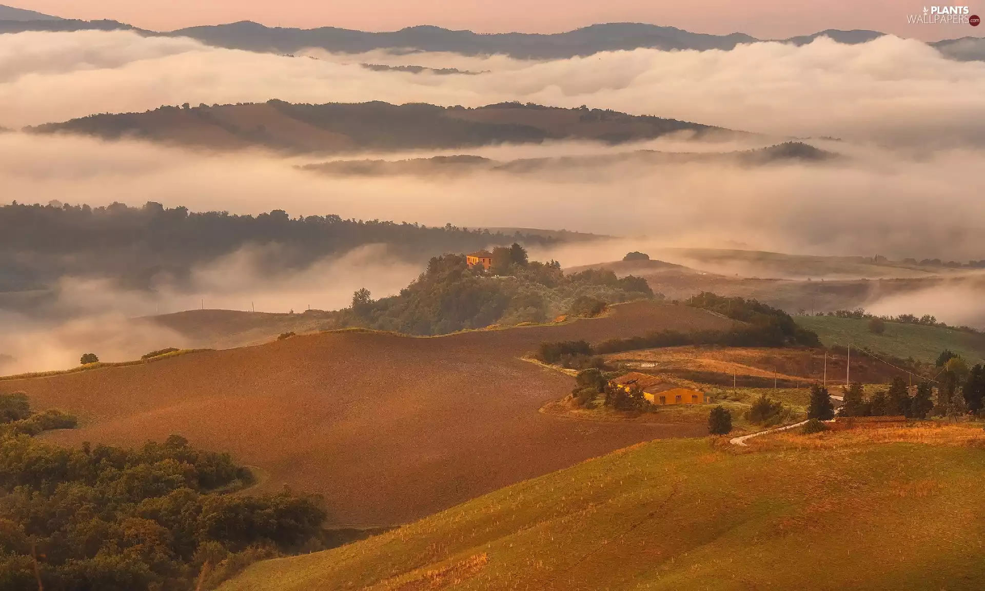 Tuscany, Italy, The Hills, Houses, clouds, Fog, trees, viewes, Way