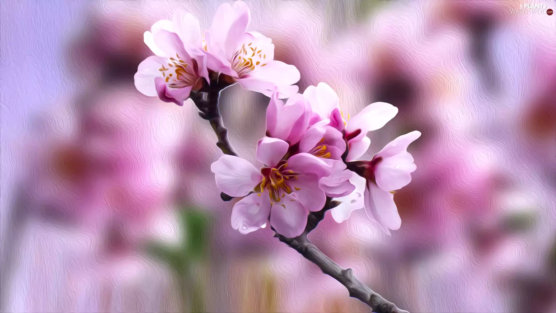 graphics, twig, Flowers, Fruit Tree
