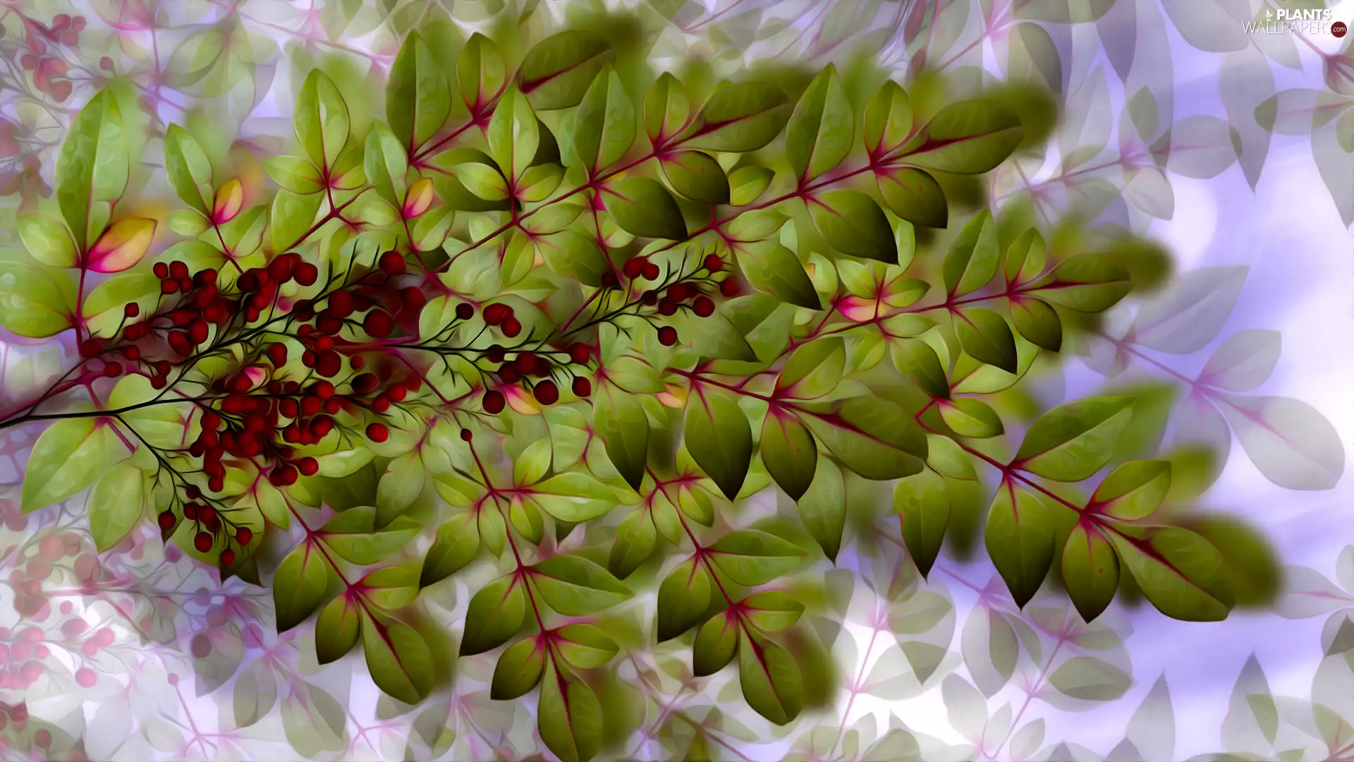 Leaf, blueberries, graphics, twig