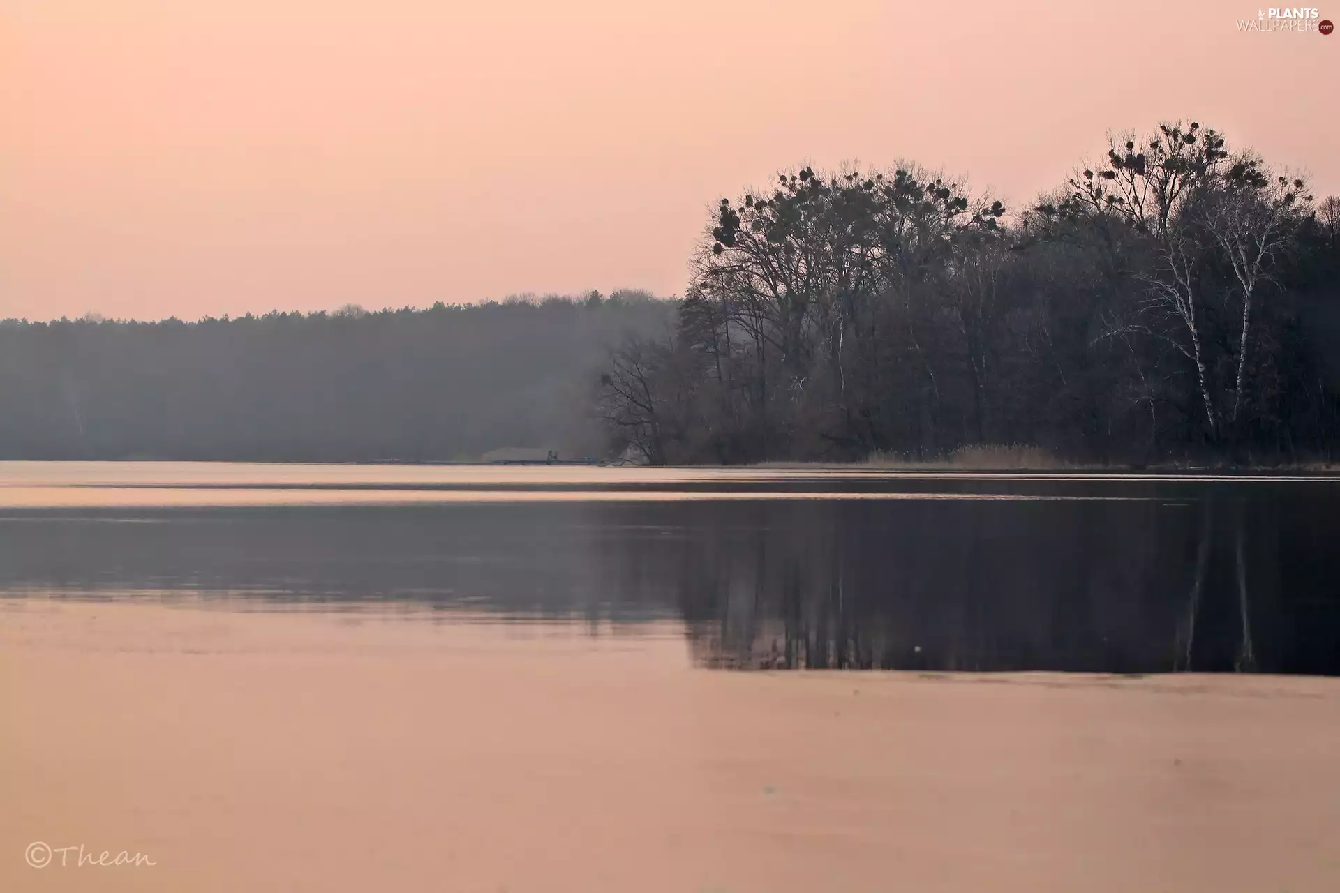viewes, twilight, lake, trees, melting