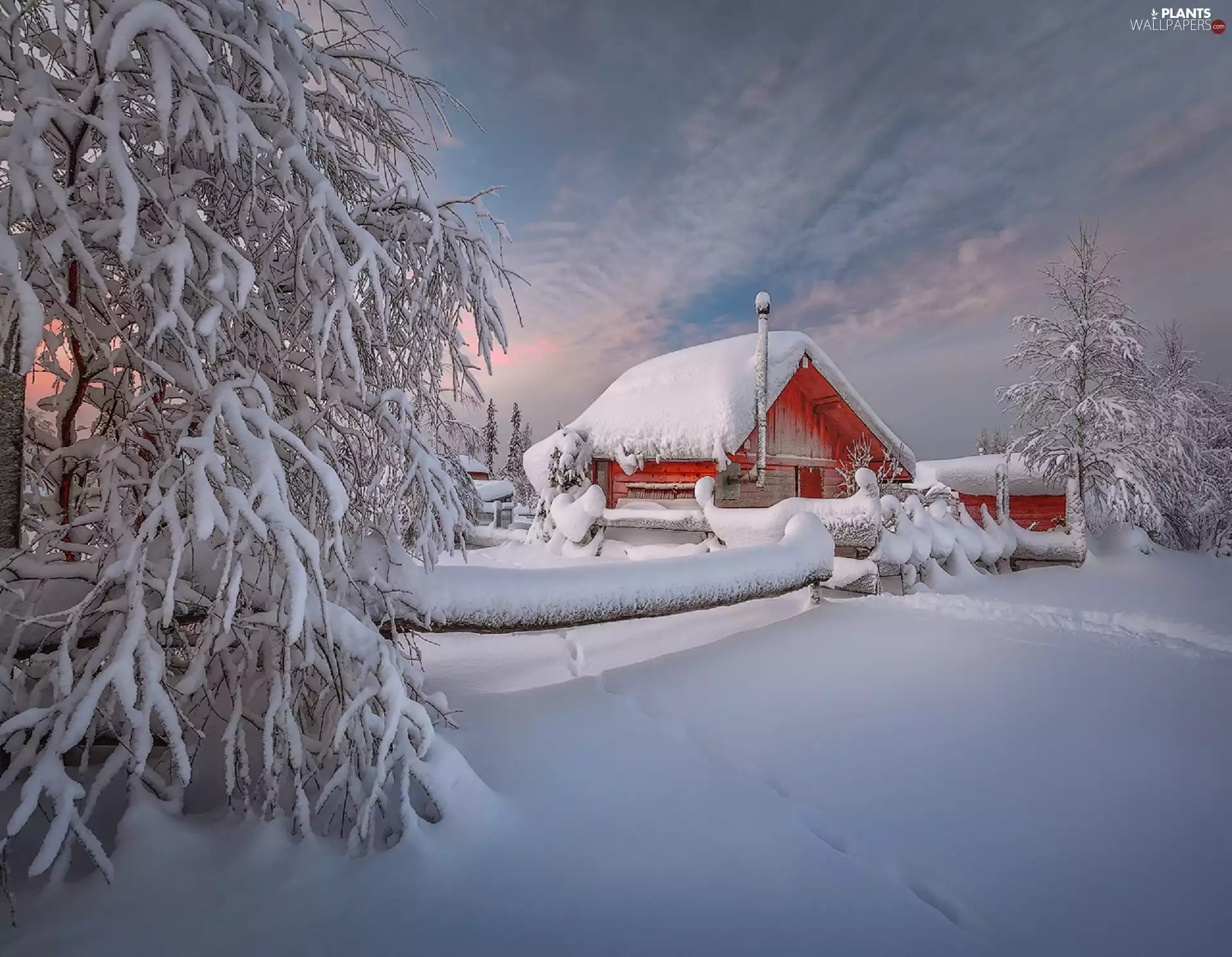 trees, winter, house, twilight, viewes, snow