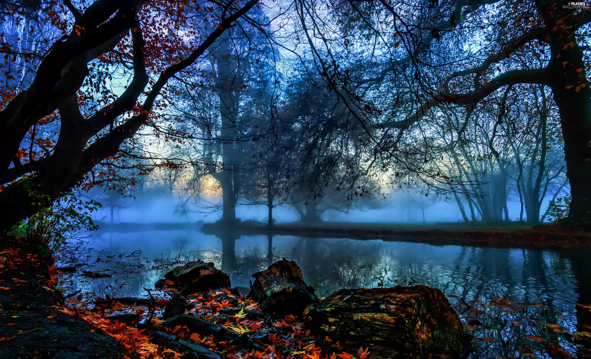 autumn, Fog, trees, twilight, River, Stones, viewes