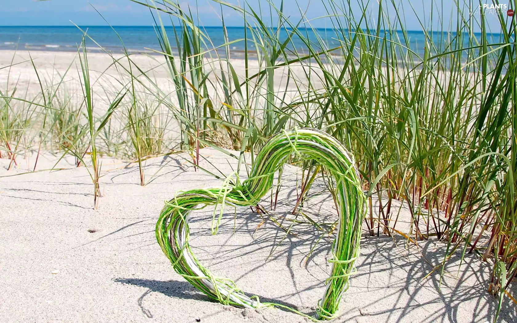 Sand, sea, Heart, twine, grass, Beaches