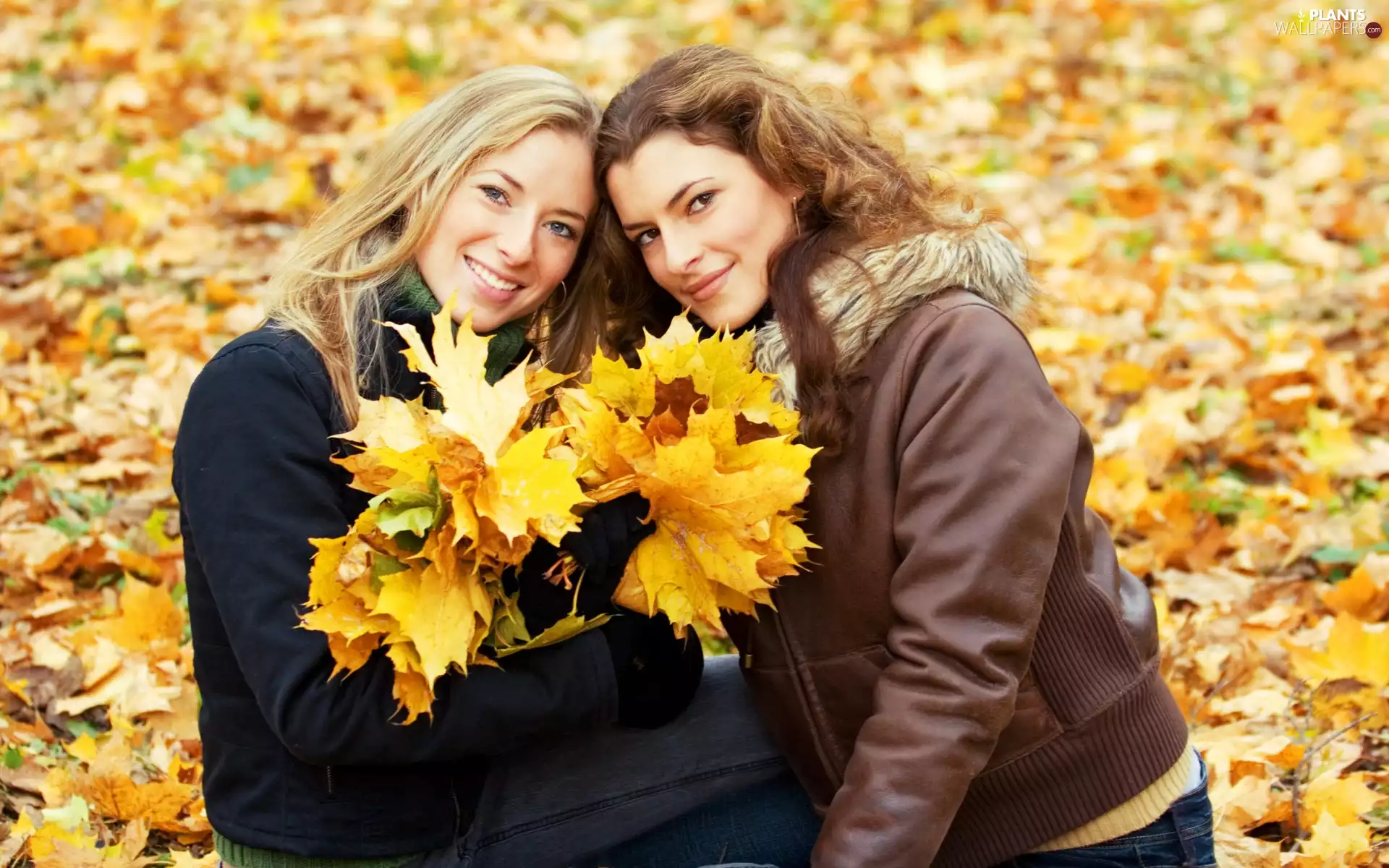 autumn, Womens, Leaf, Two
