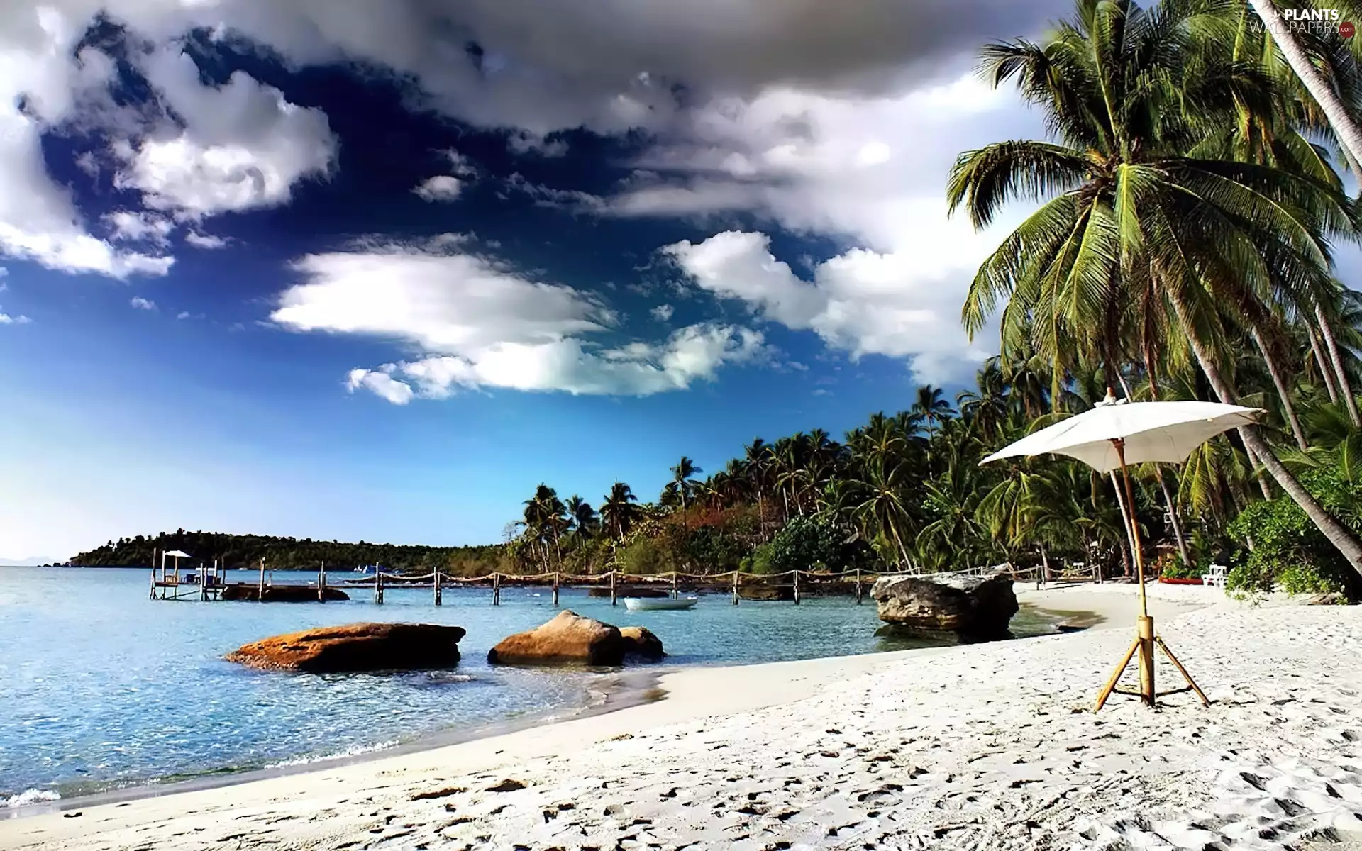 Beaches, Palms, sea, Umbrella