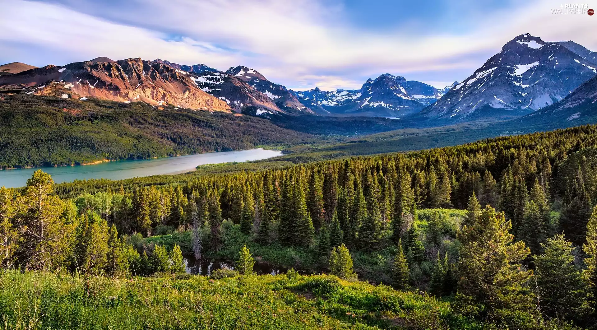 Mountains, Montana State, trees, Glacier National Park, The United States, Two Medicine Lake, viewes