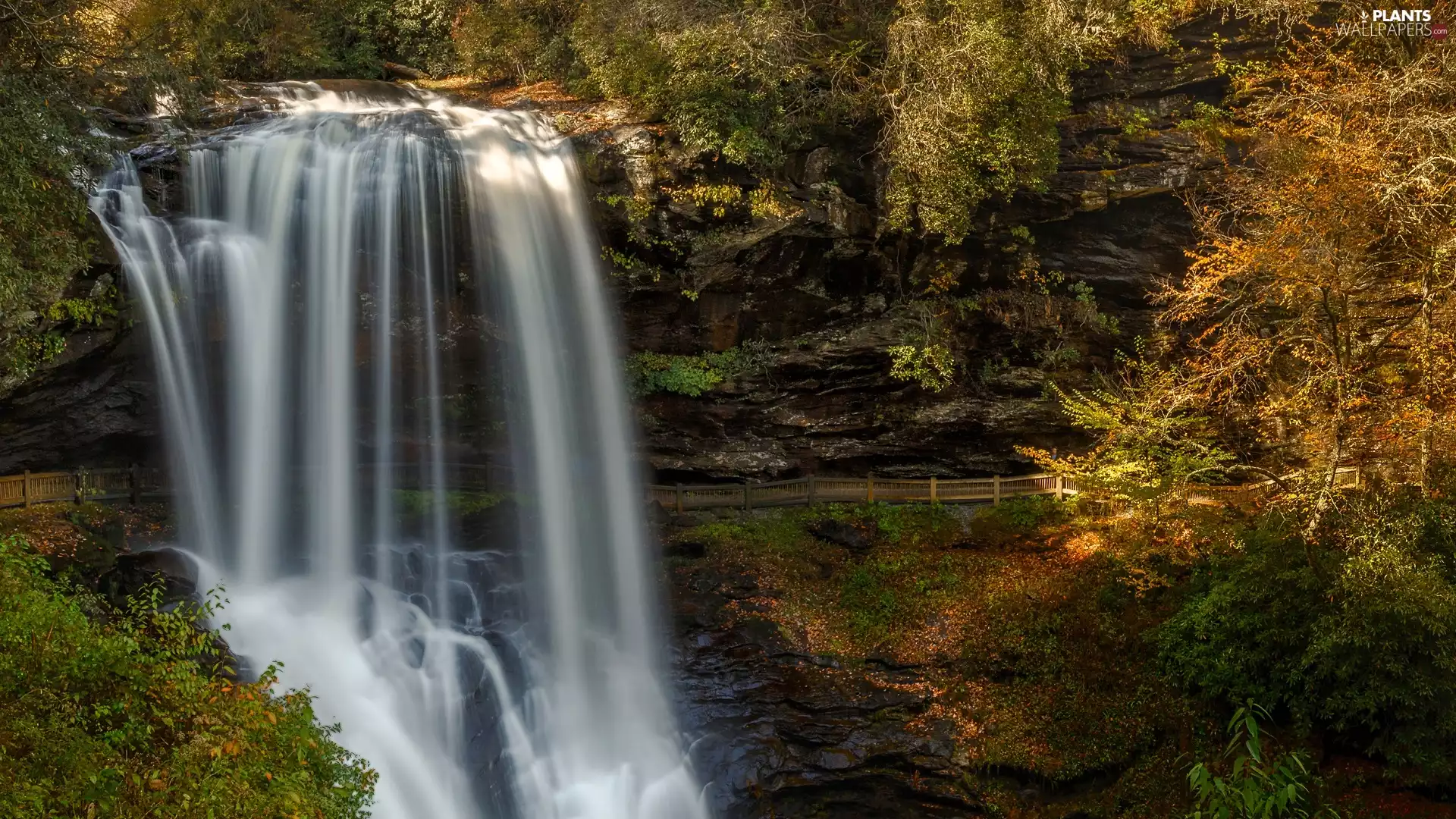 State of North Carolina, The United States, Highlands, National Forest, trees, viewes, Dry Falls, rocks, Nantahala National Forest