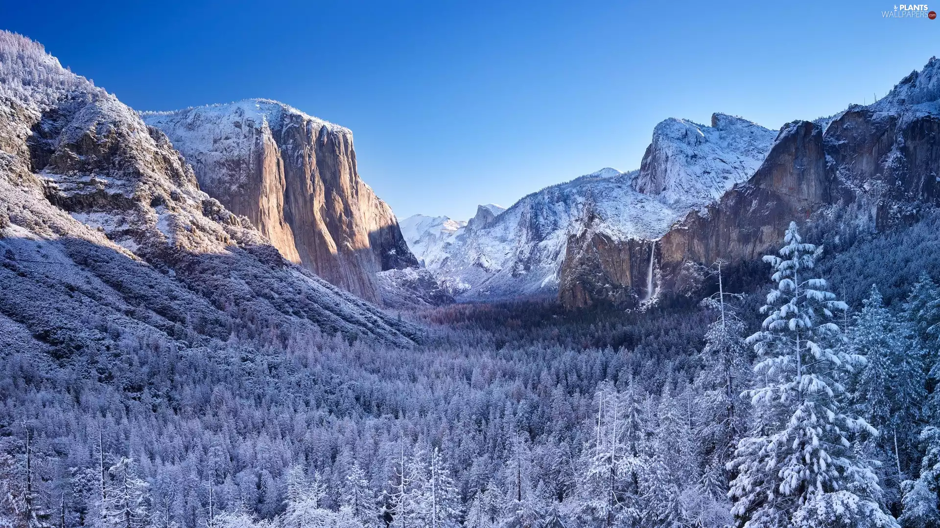 snowy, California, Yosemite Valley, trees, winter, The United States, Yosemite National Park, viewes, woods, Mountains