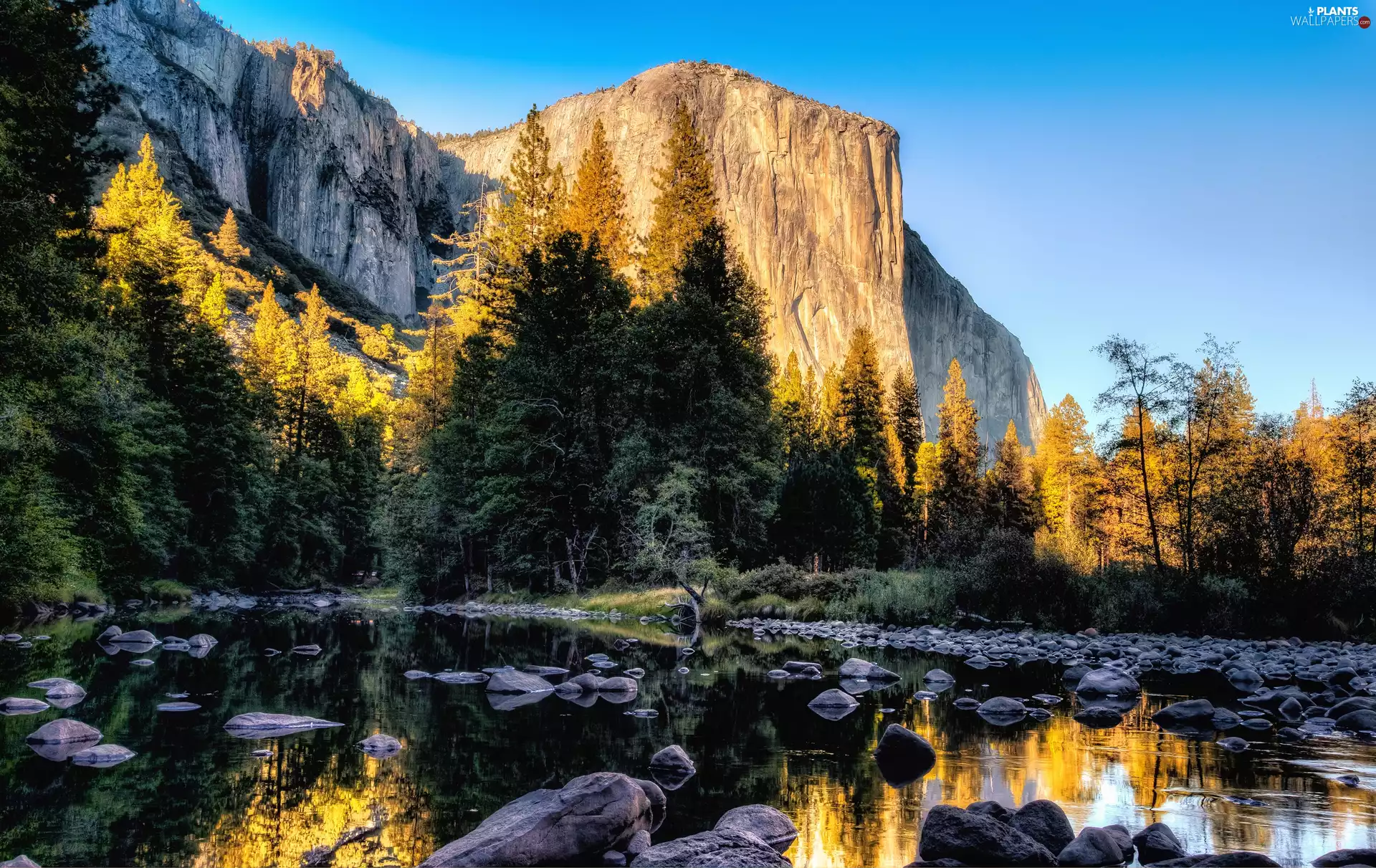 Yosemite National Park, Mountains, viewes, River, trees, California, The United States, Stones