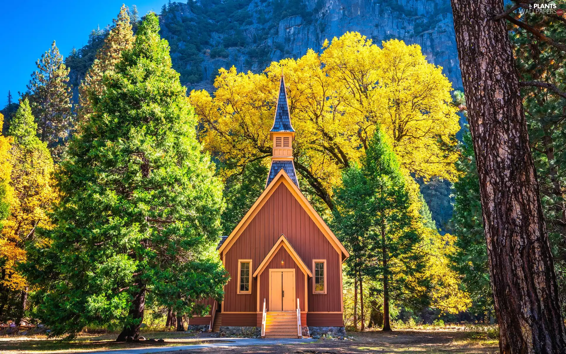 Yosemite National Park, chapel, autumn, Church, viewes, California, The United States, trees