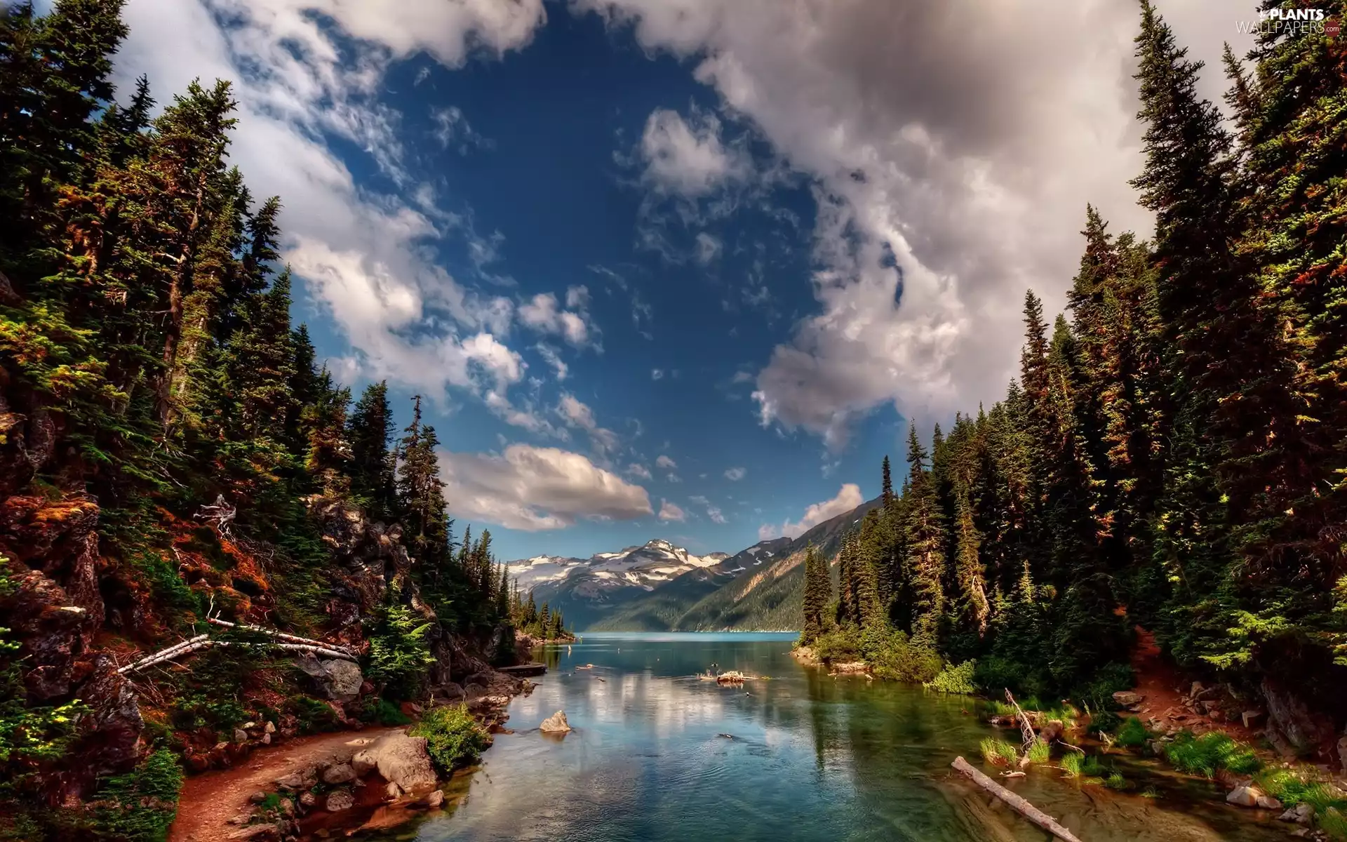 coniferous, Yellowstone National Park, trees, Sky, viewes, The United States, River, clouds, Mountains, forest