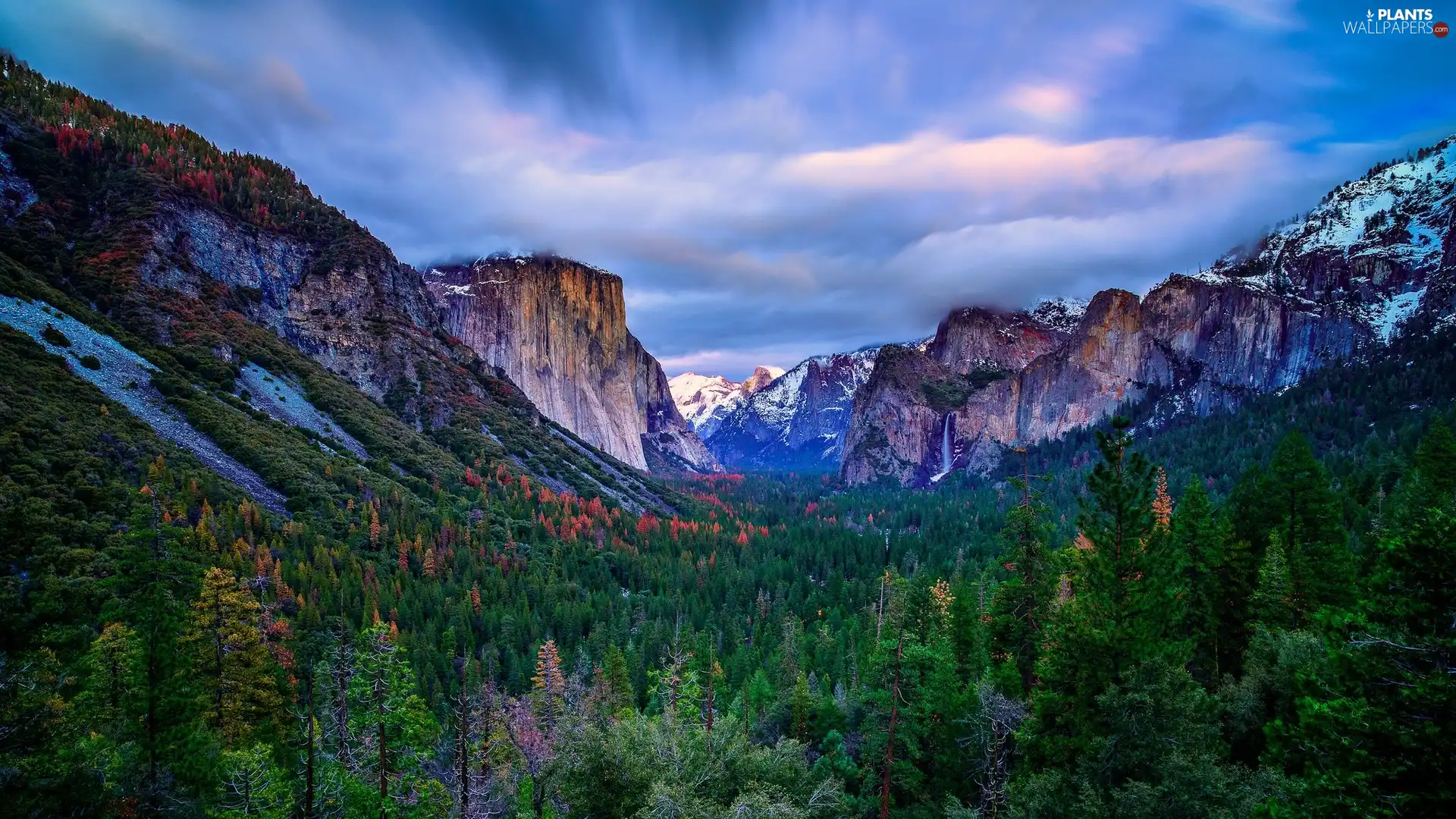 Yosemite National Park, Mountains, Fog, forest, viewes, California, The United States, trees