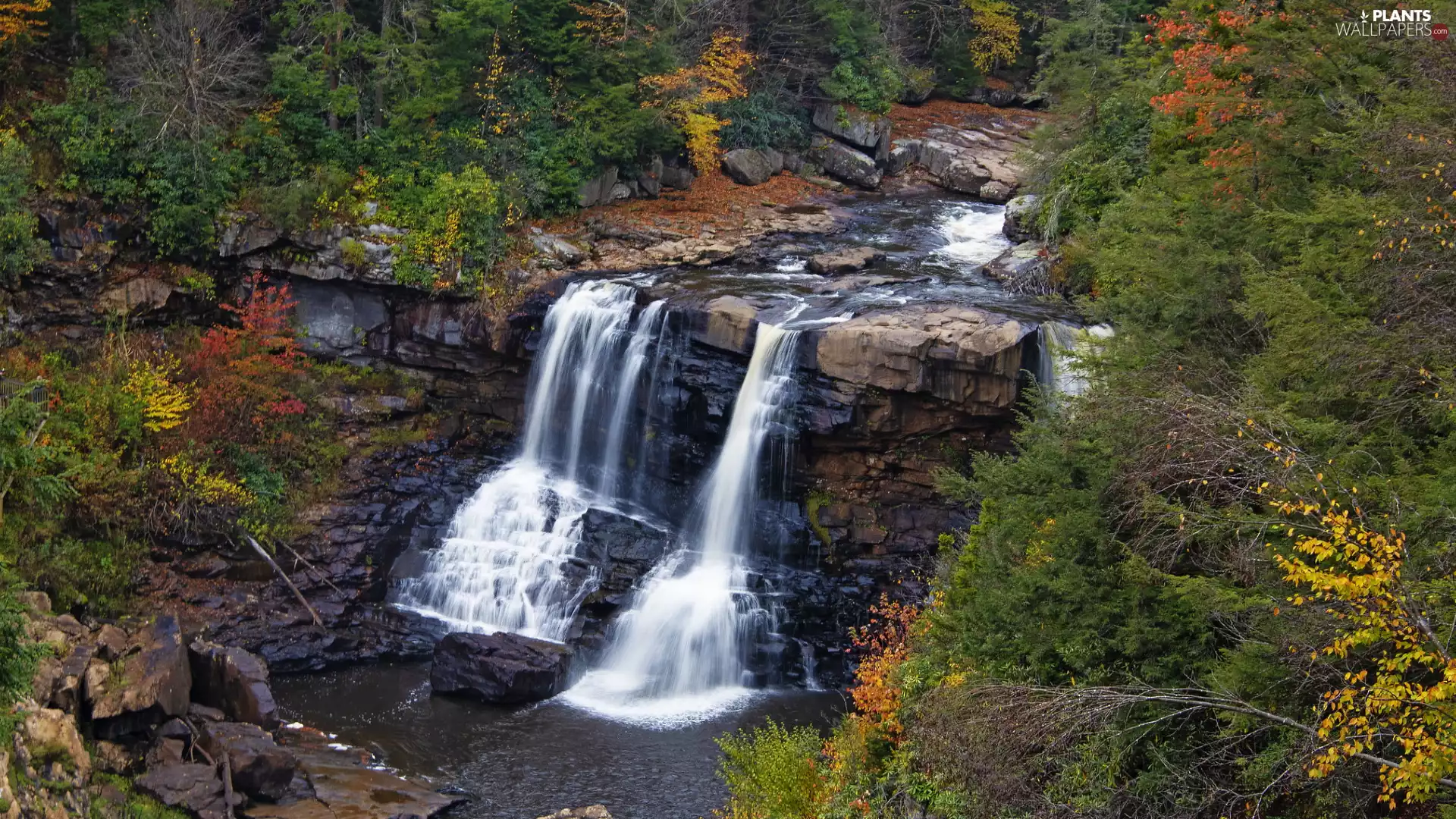 State of West Virginia, The United States, Blackwater Falls State Park, autumn, rocks, Blackwater Falls, viewes, forest, trees