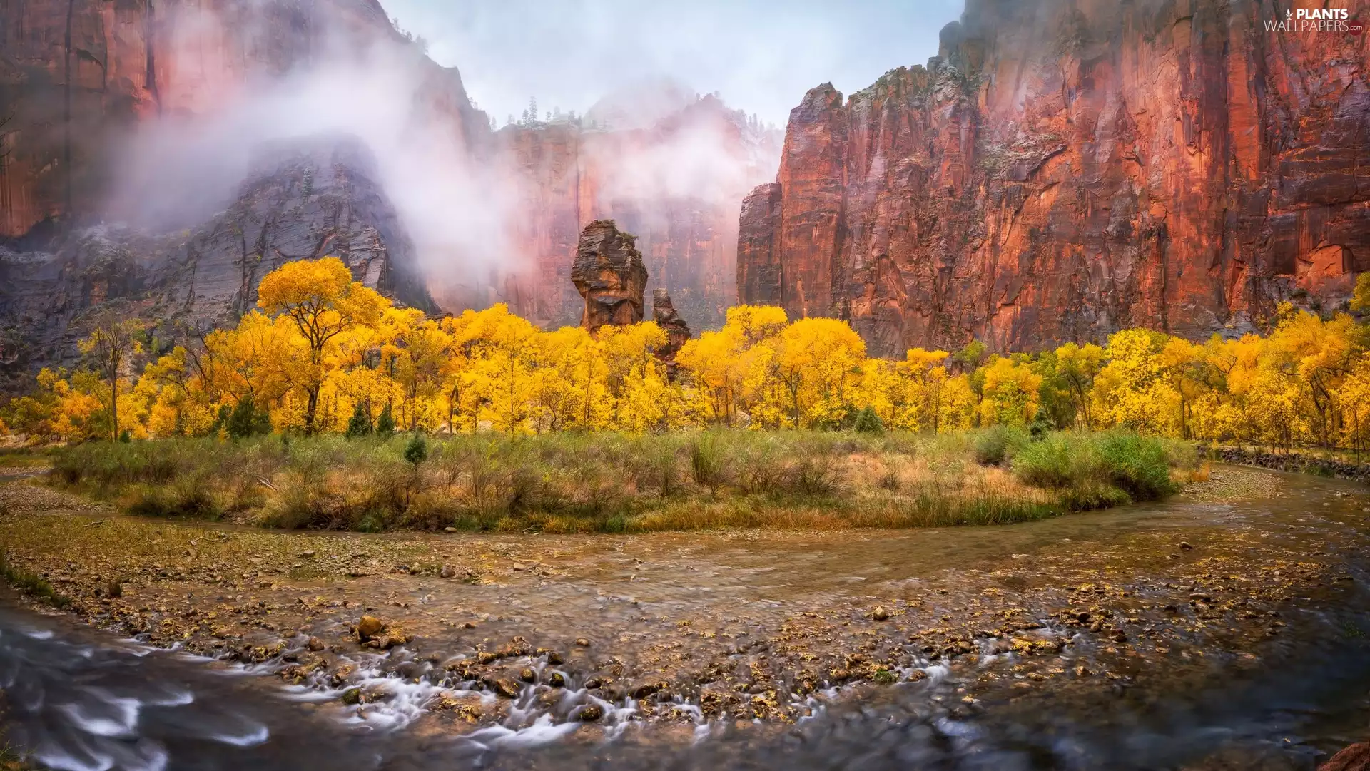 trees, viewes, The United States, autumn, Utah State, rocks, Zion National Park, River