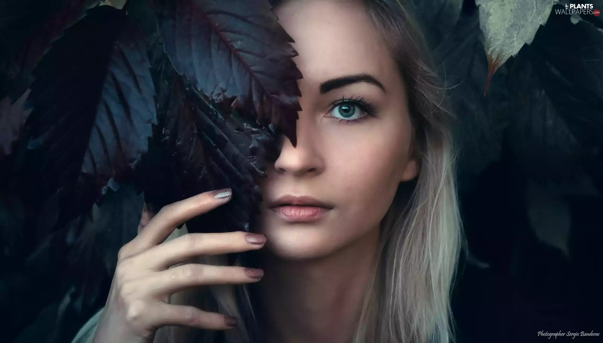 Leaf, Women, make-up