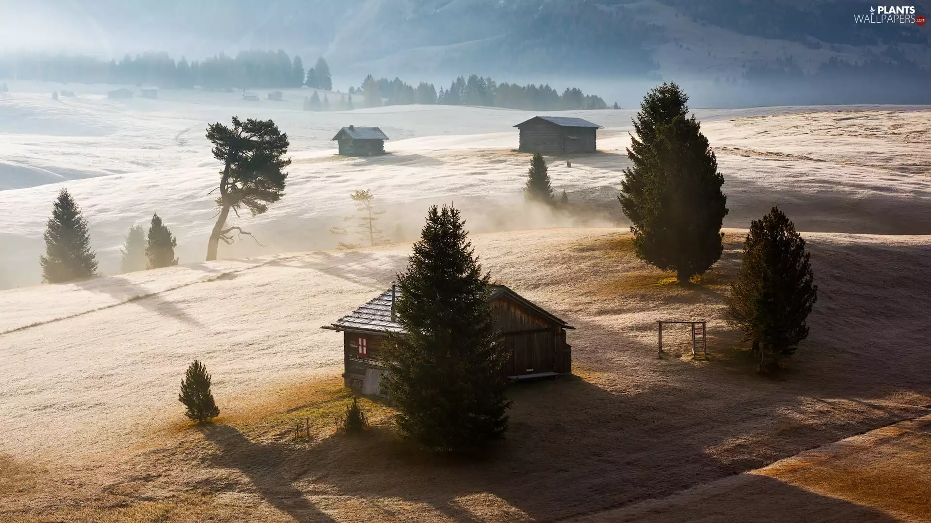 Houses, Seiser Alm Meadow, Mountains, viewes, Dolomites, Italy, Val Gardena Valley, Fog, trees, wood