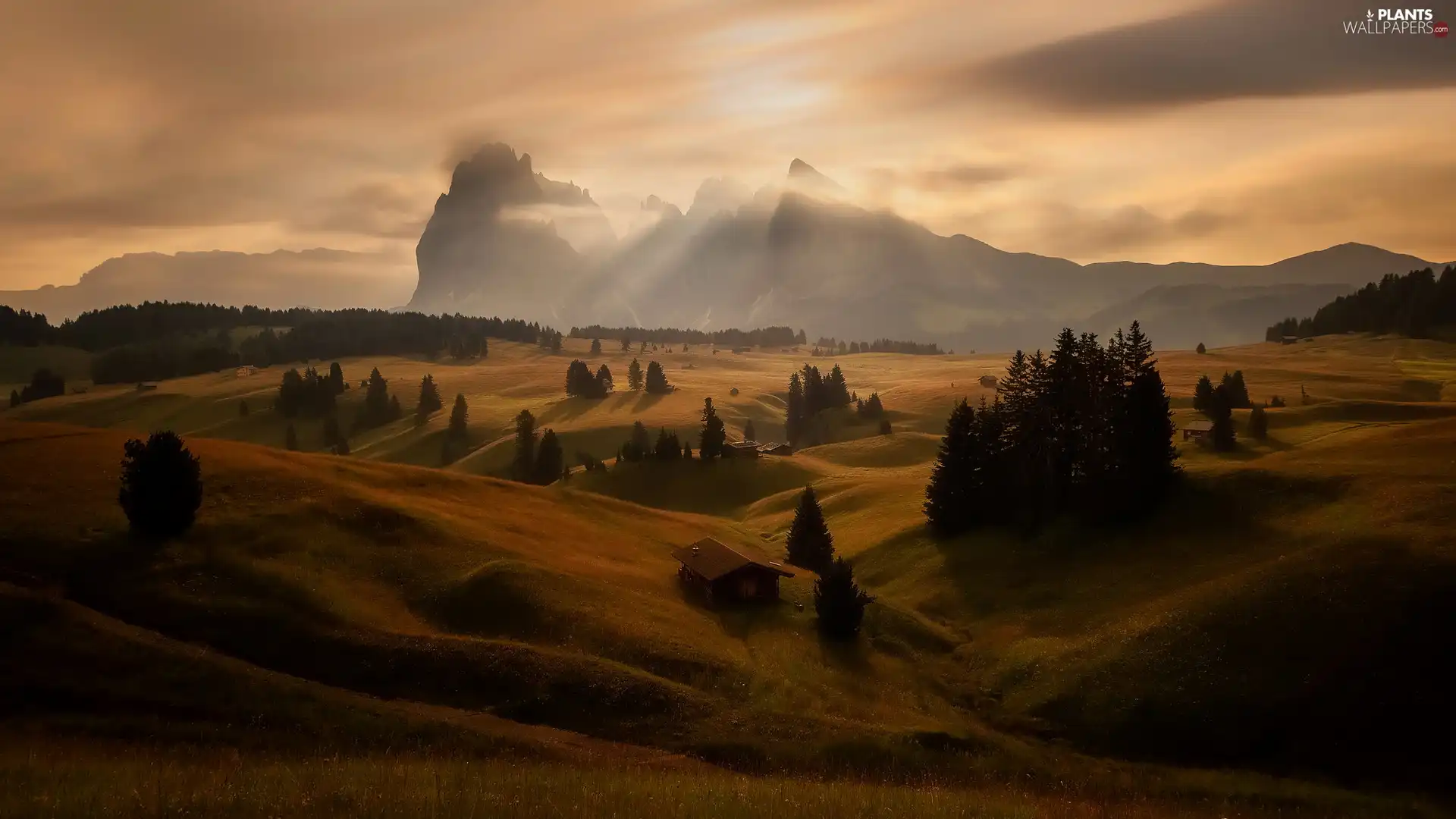 Houses, Sassolungo Mountains, The Hills, viewes, Val Gardena Valley, Seiser Alm Meadow, Dolomites, Italy, trees, Sunrise