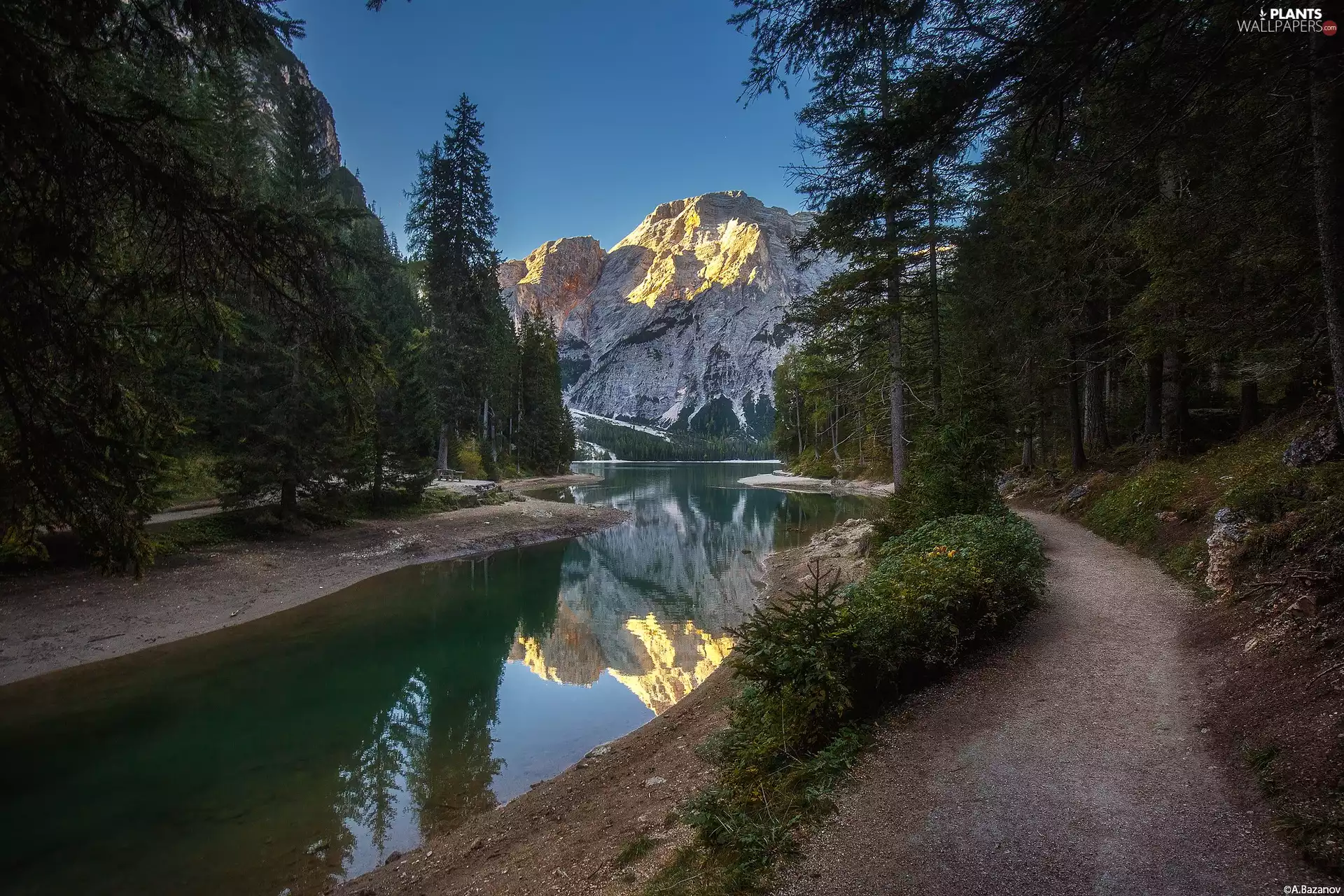 Dolomites Mountains, Italy, Alta Pusteria region, Val Pusteria, viewes, Way, Pragser Wildsee, trees, Val di Braies