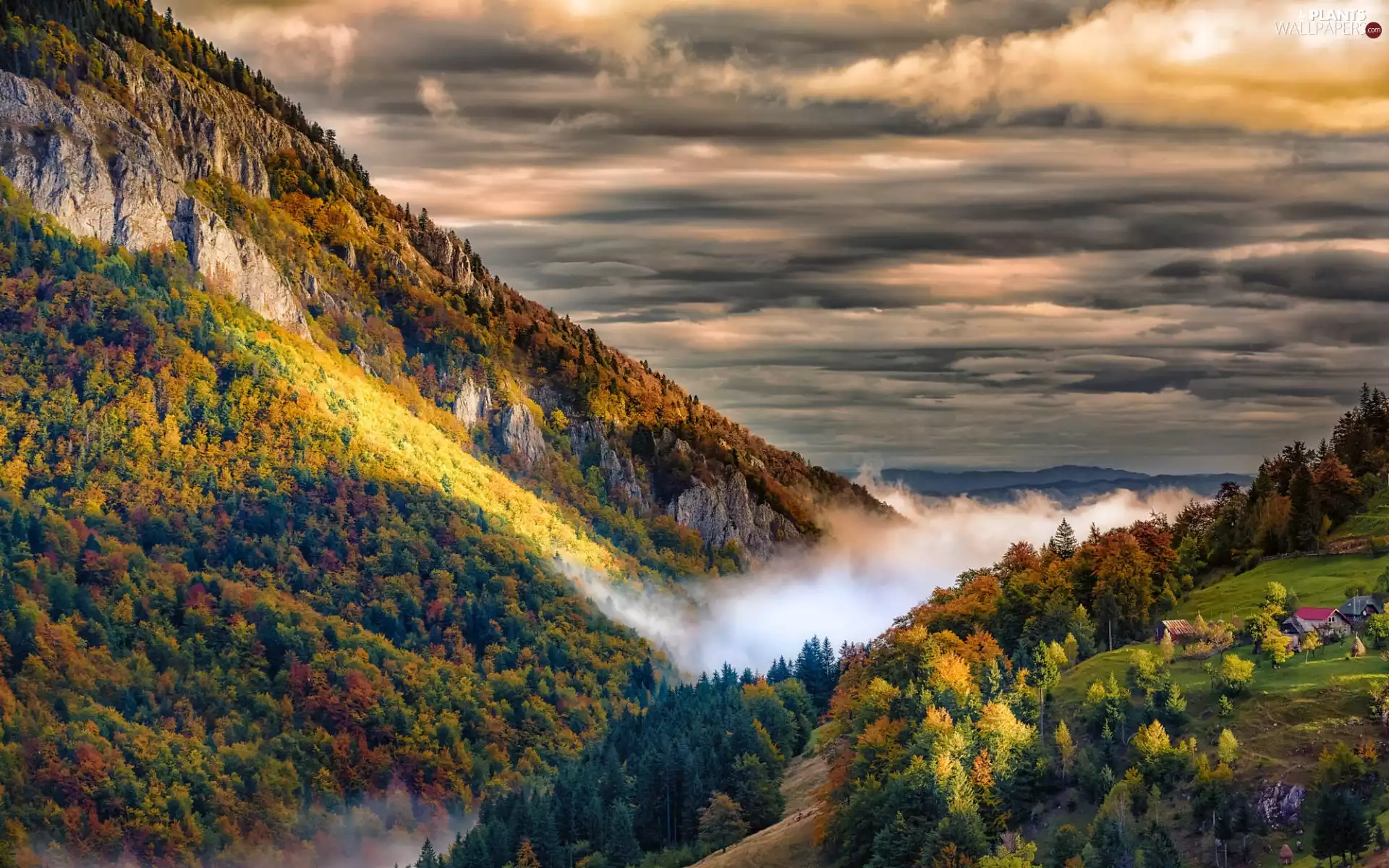 Valley, Mountains, color, Houses, trees, autumn, woods, clouds, Fog, viewes
