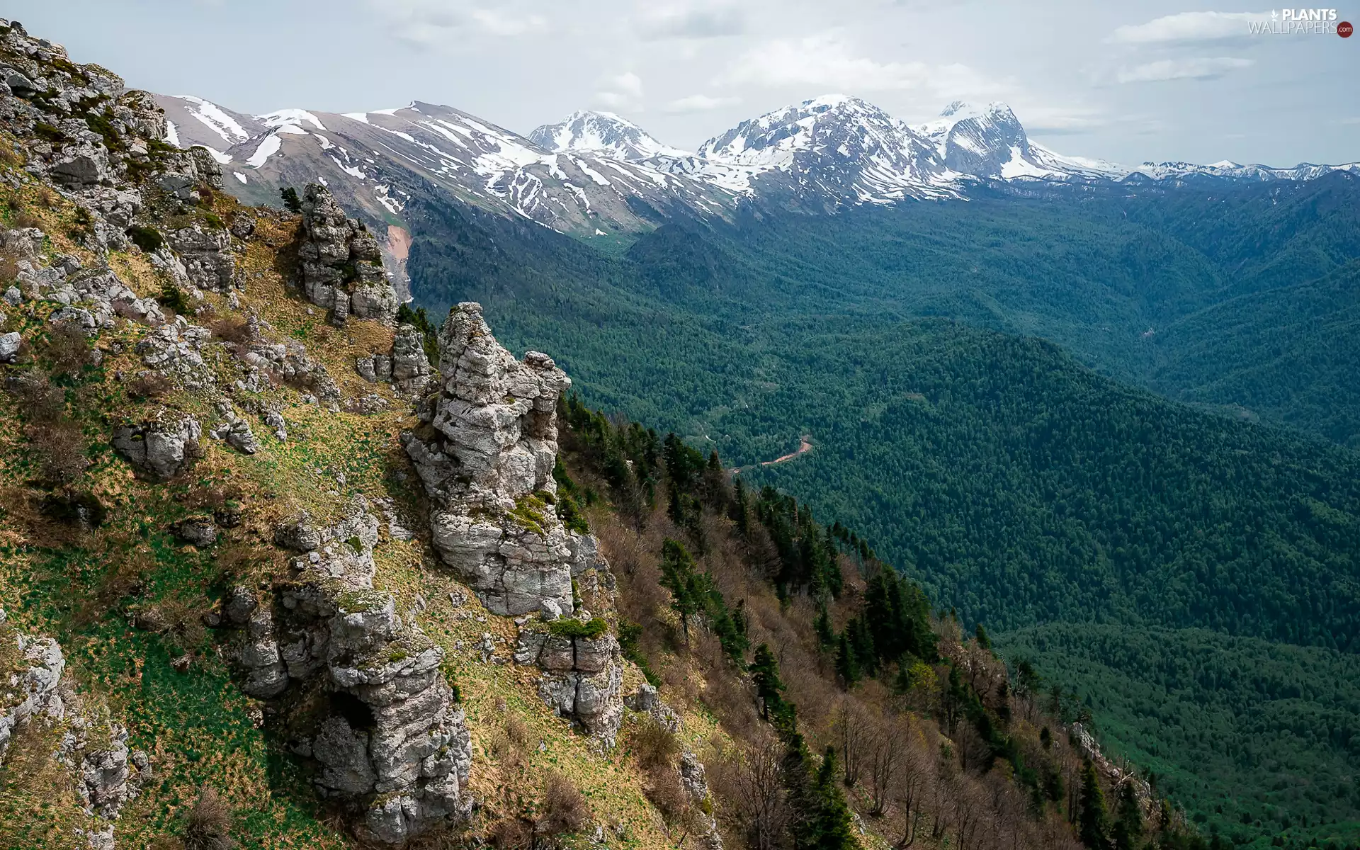 viewes, Valley, rocks, trees, Mountains