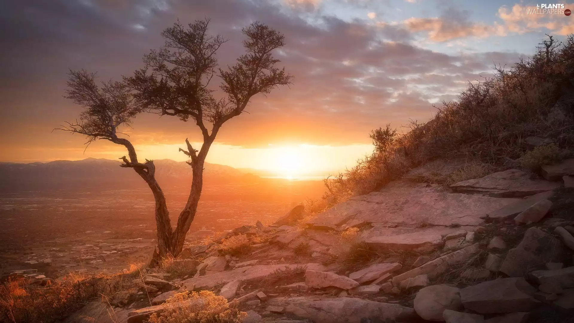 Valley, Mountains, Town, Houses, Great Sunsets, clouds, viewes, rocks, trees