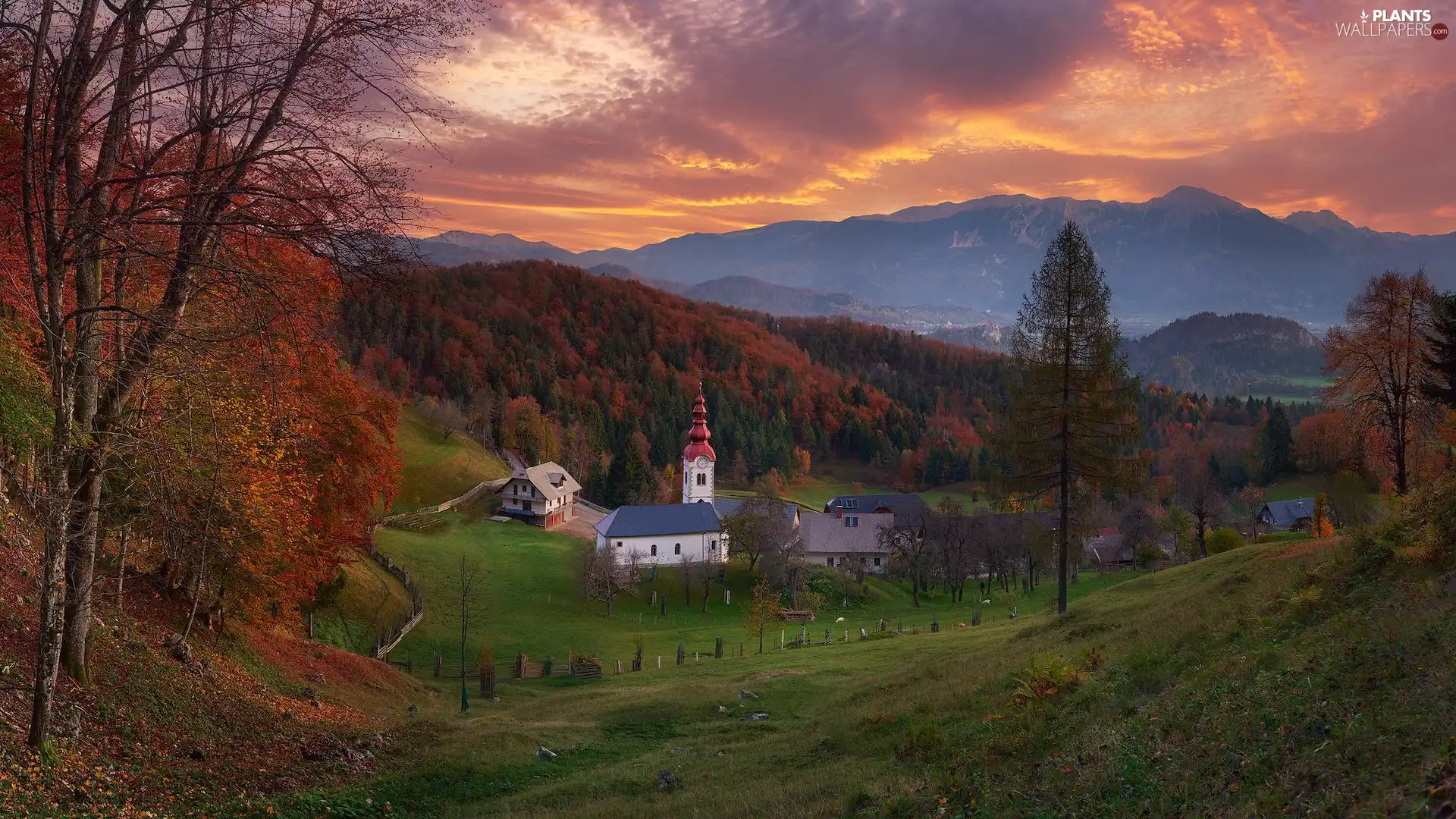 Church, Mountains, trees, Valley, Slovenia, autumn, viewes