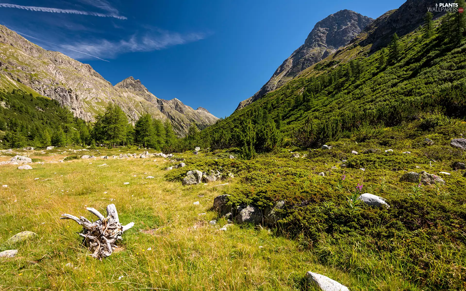 grass, Stones, viewes, Valley, Mountains, trees, Sky
