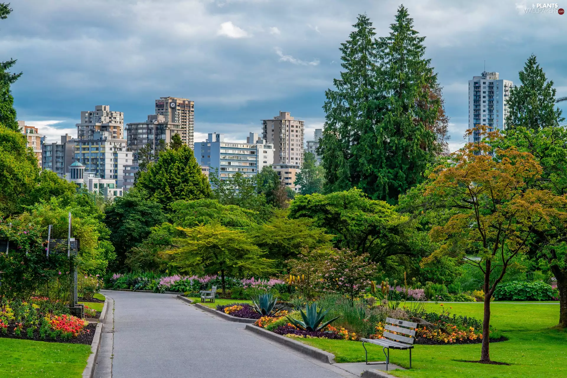 Vancouver, Canada, Park, Stanley Park, Bench, Houses, trees, viewes, Alleys