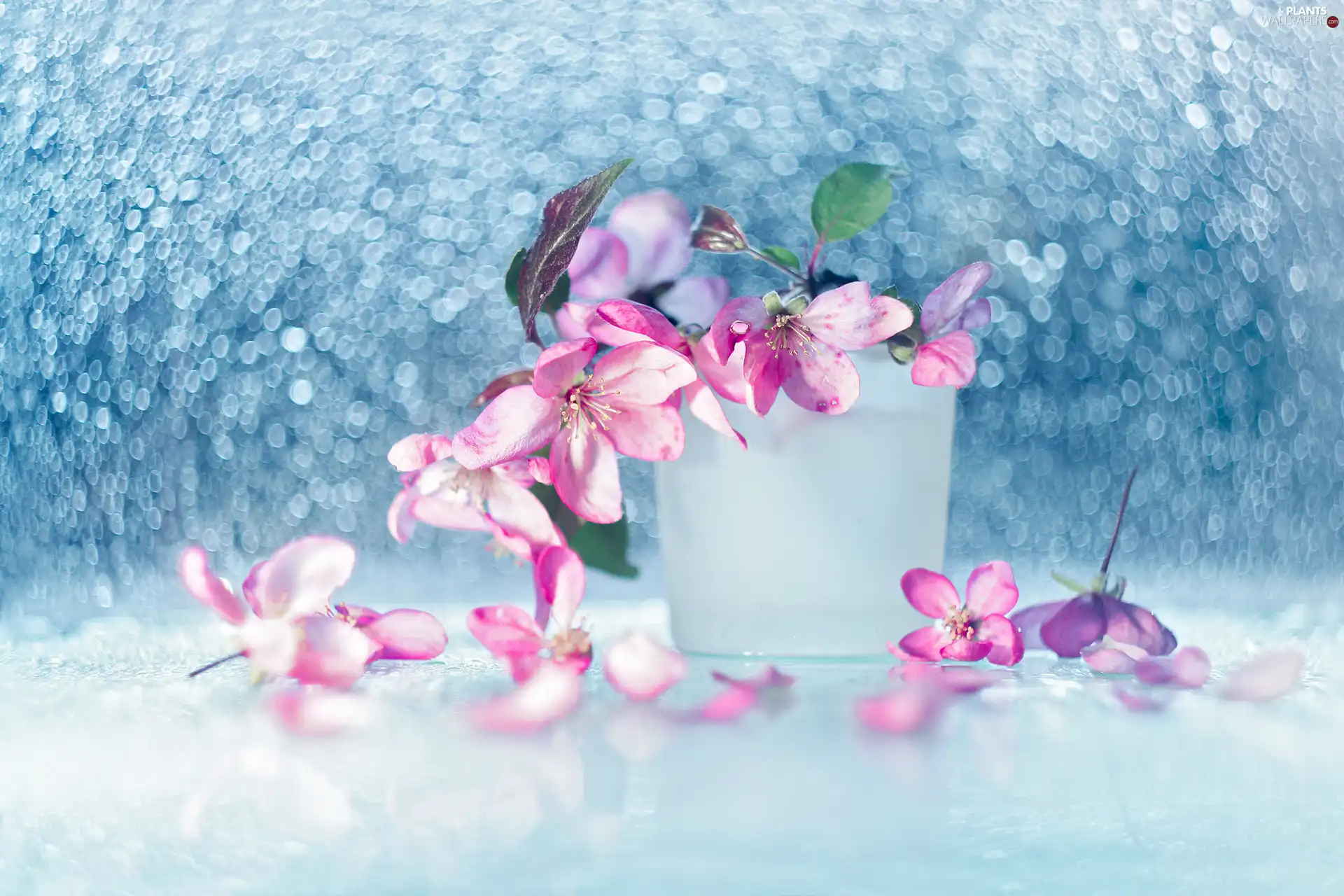 trees, Pink, vase, Bokeh, fruit, Flowers