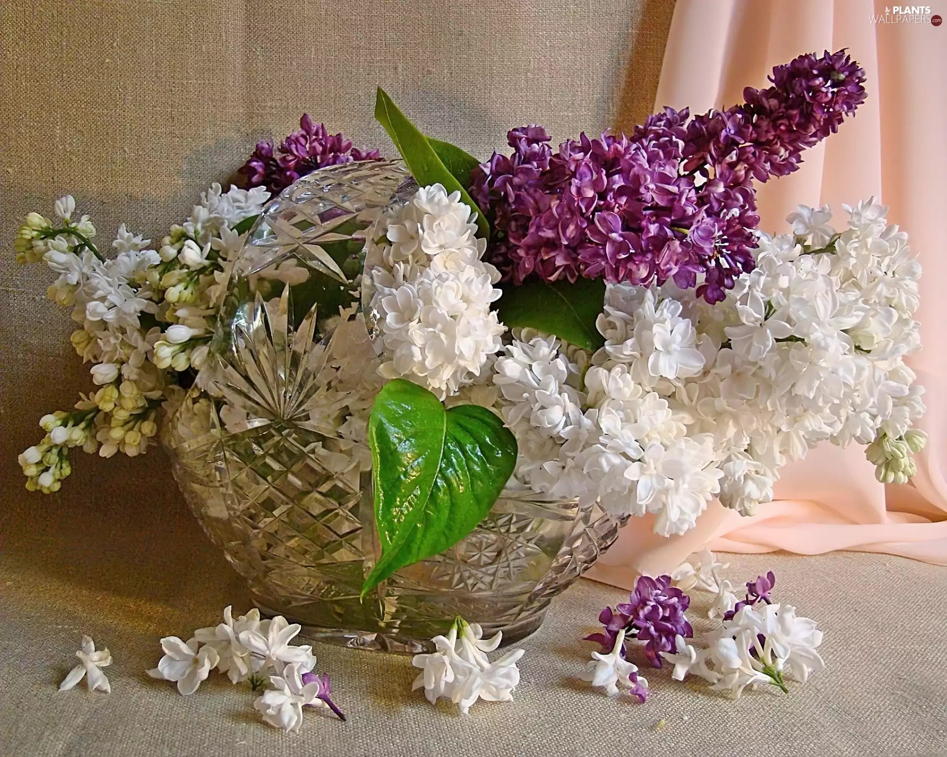 crystal, bouquet, Lilacs, Vase