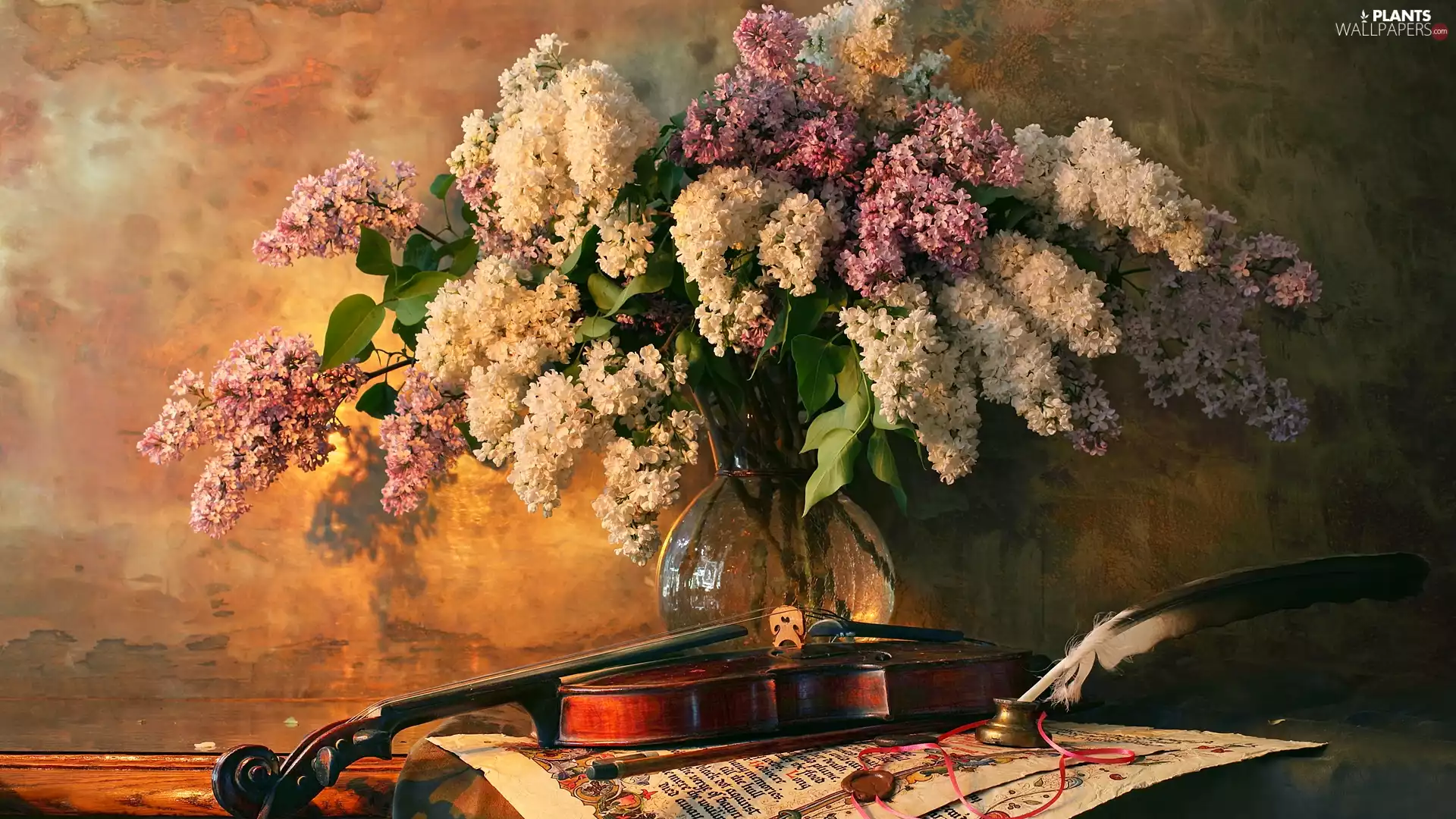 violin, without, composition, Vase