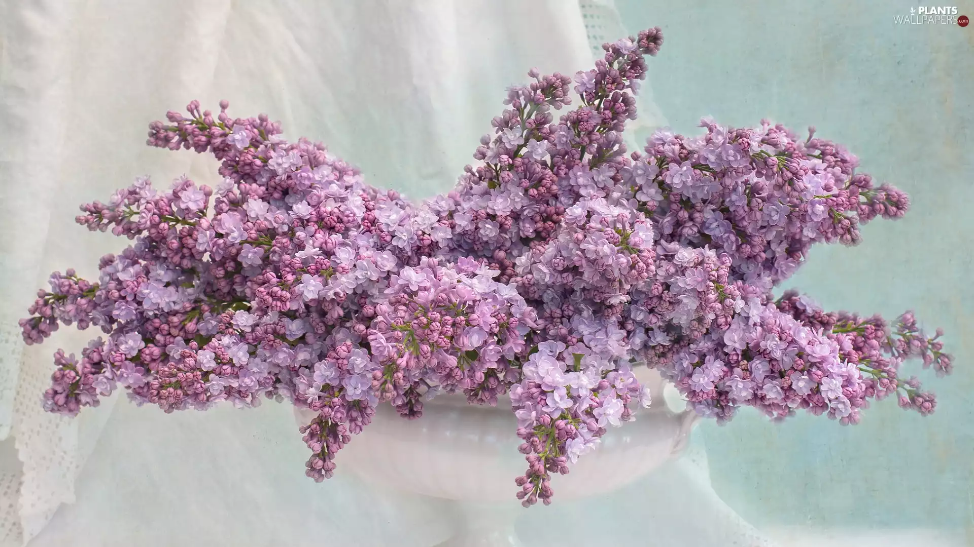 bouquet, Vase, without, Syringa, Violet