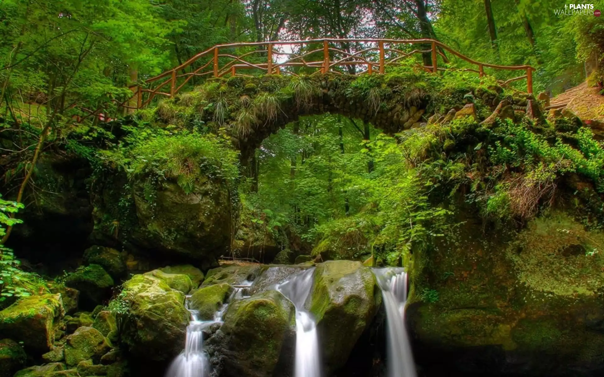 rocks, VEGETATION, bridges, waterfall, forest