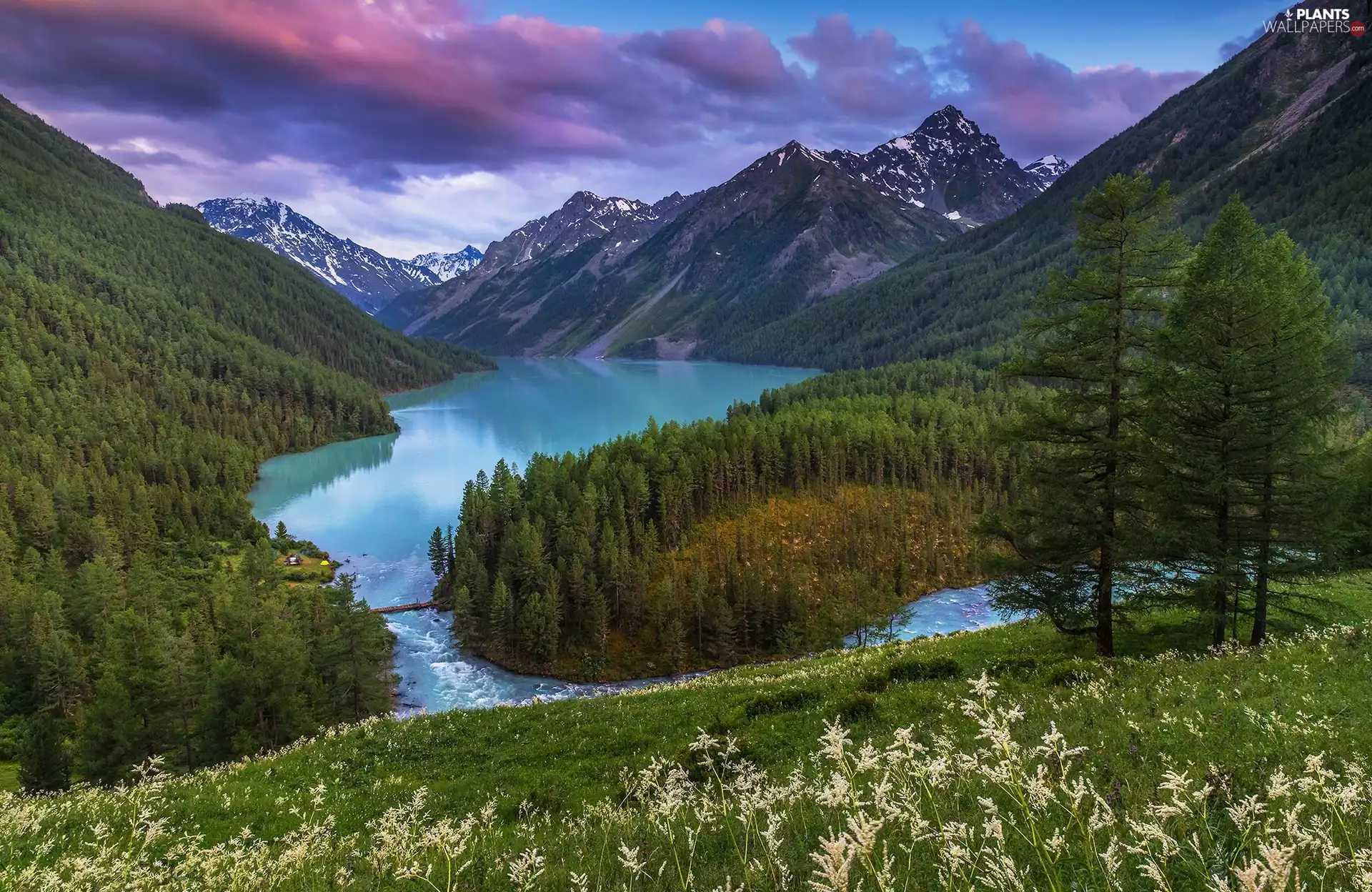 Lake Kucherla, Mountains, Altai Republic, Russia, VEGETATION, clouds, trees, viewes, woods