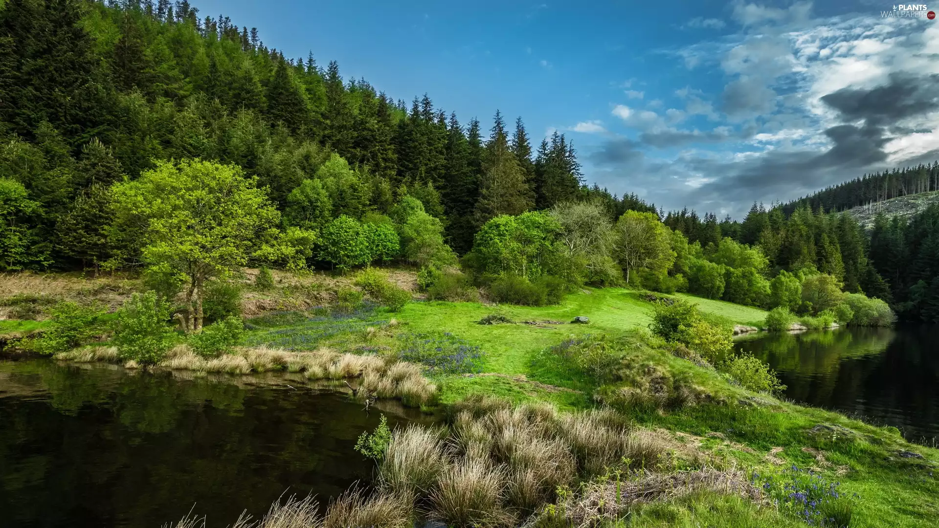 lake, trees, clouds, viewes, forest, The Hills, VEGETATION