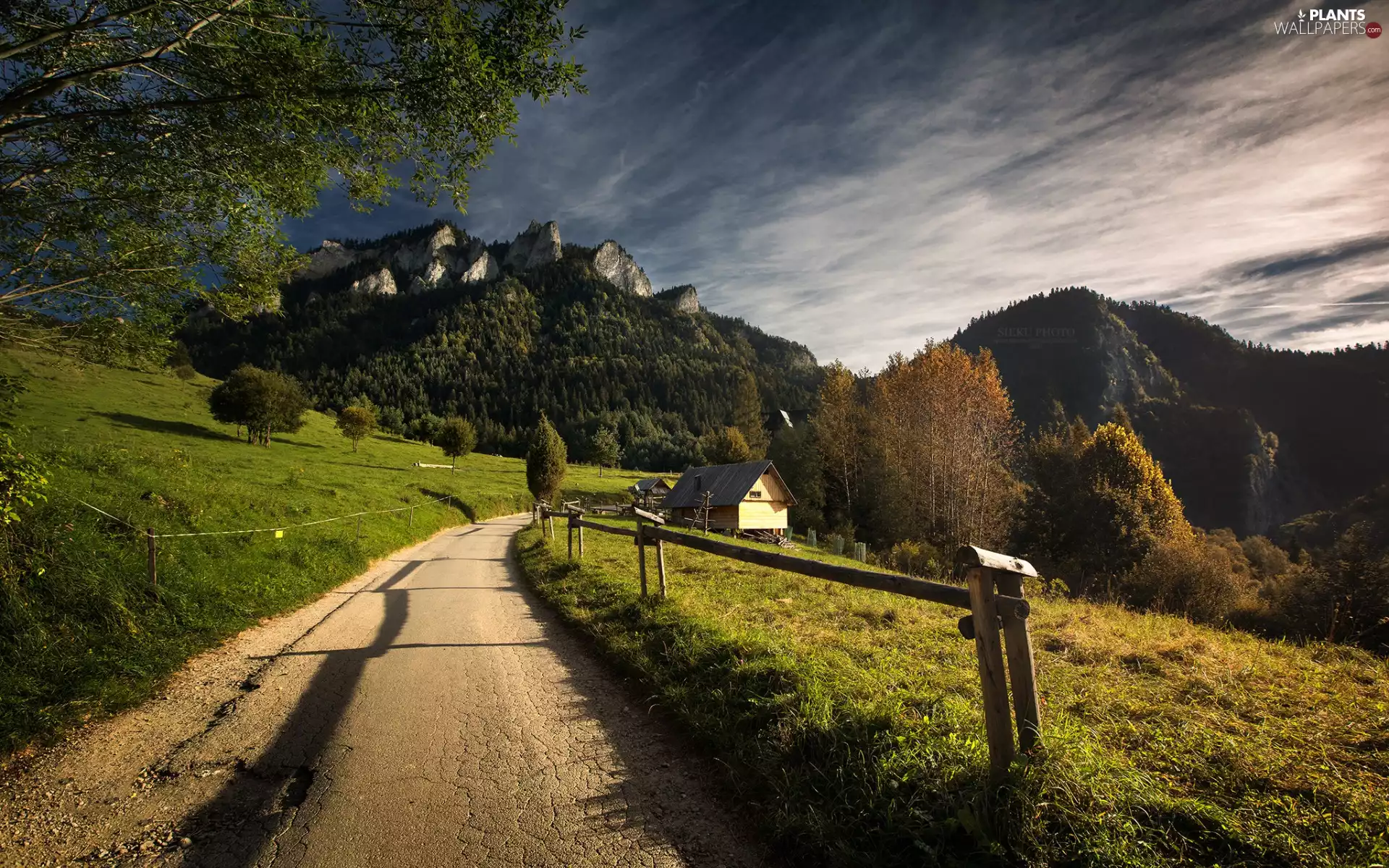 autumn, Way, woods, Mountains, viewes, morning, VEGETATION, fence, Fance, house, trees