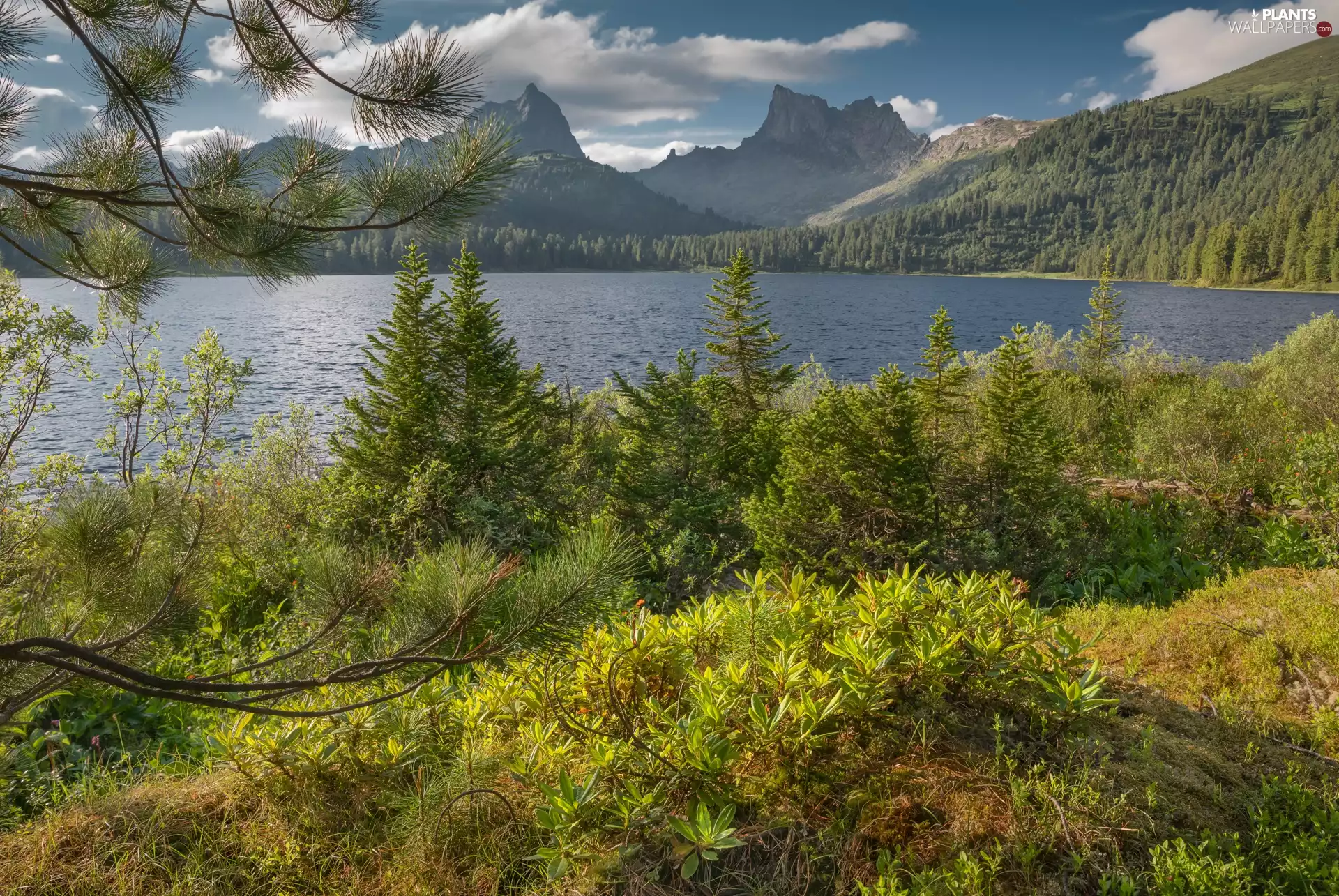 clouds, lake, viewes, VEGETATION, trees, Mountains