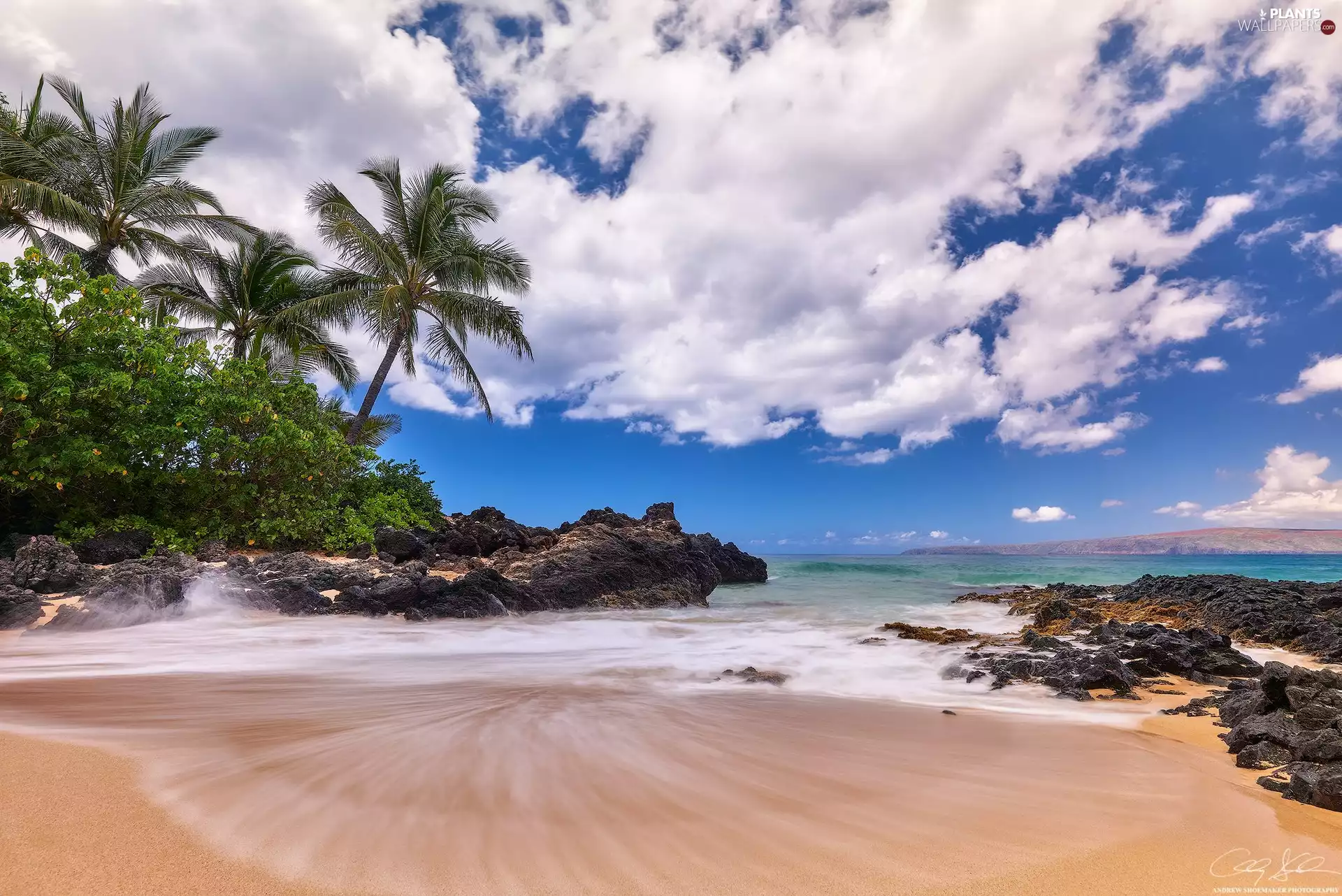 Aloha State Hawaje, VEGETATION, clouds, Palms