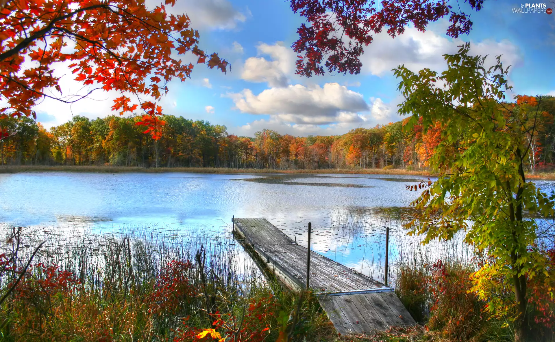 autumn, lake, viewes, VEGETATION, trees, Platform
