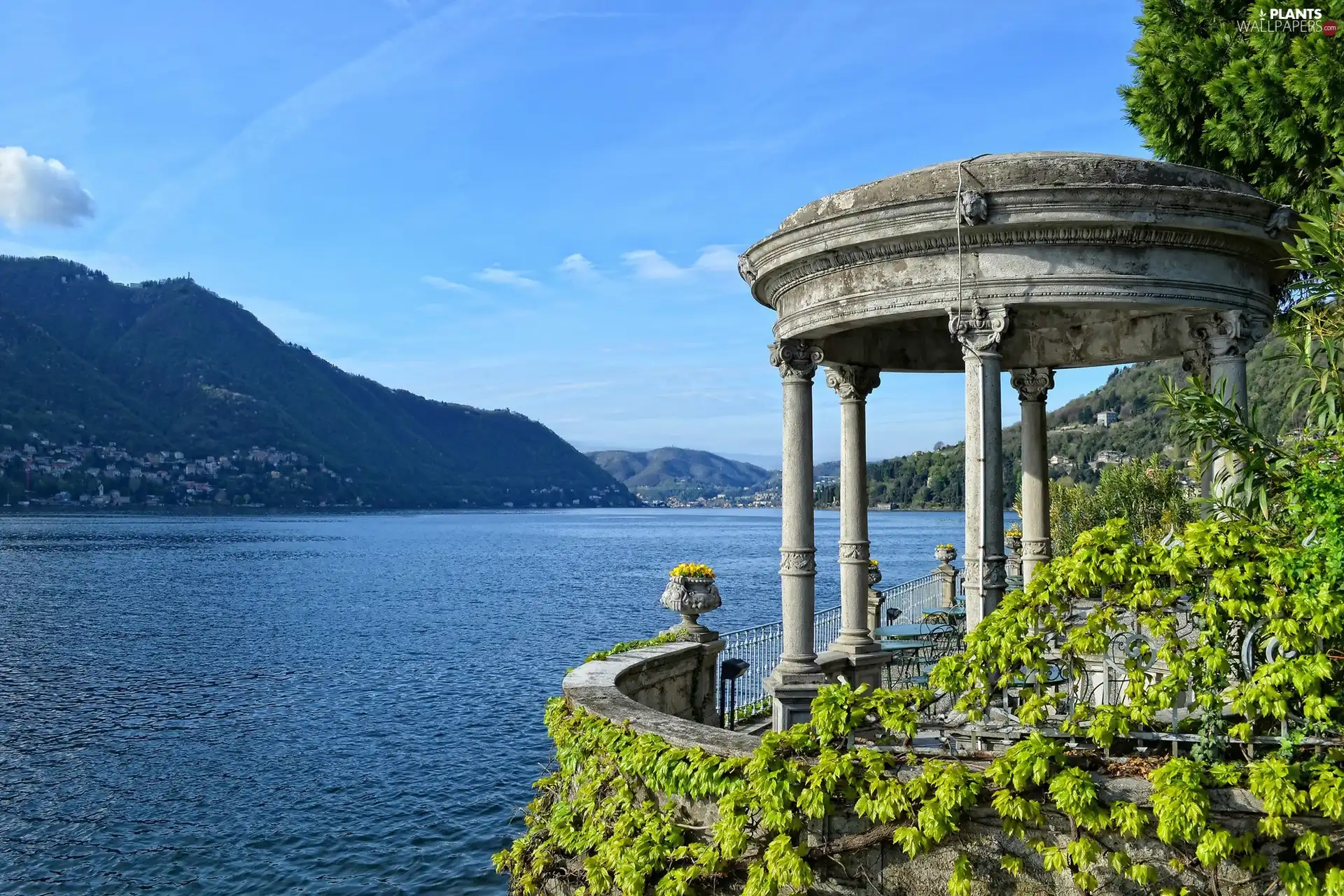 River, terrace, VEGETATION, Mountains